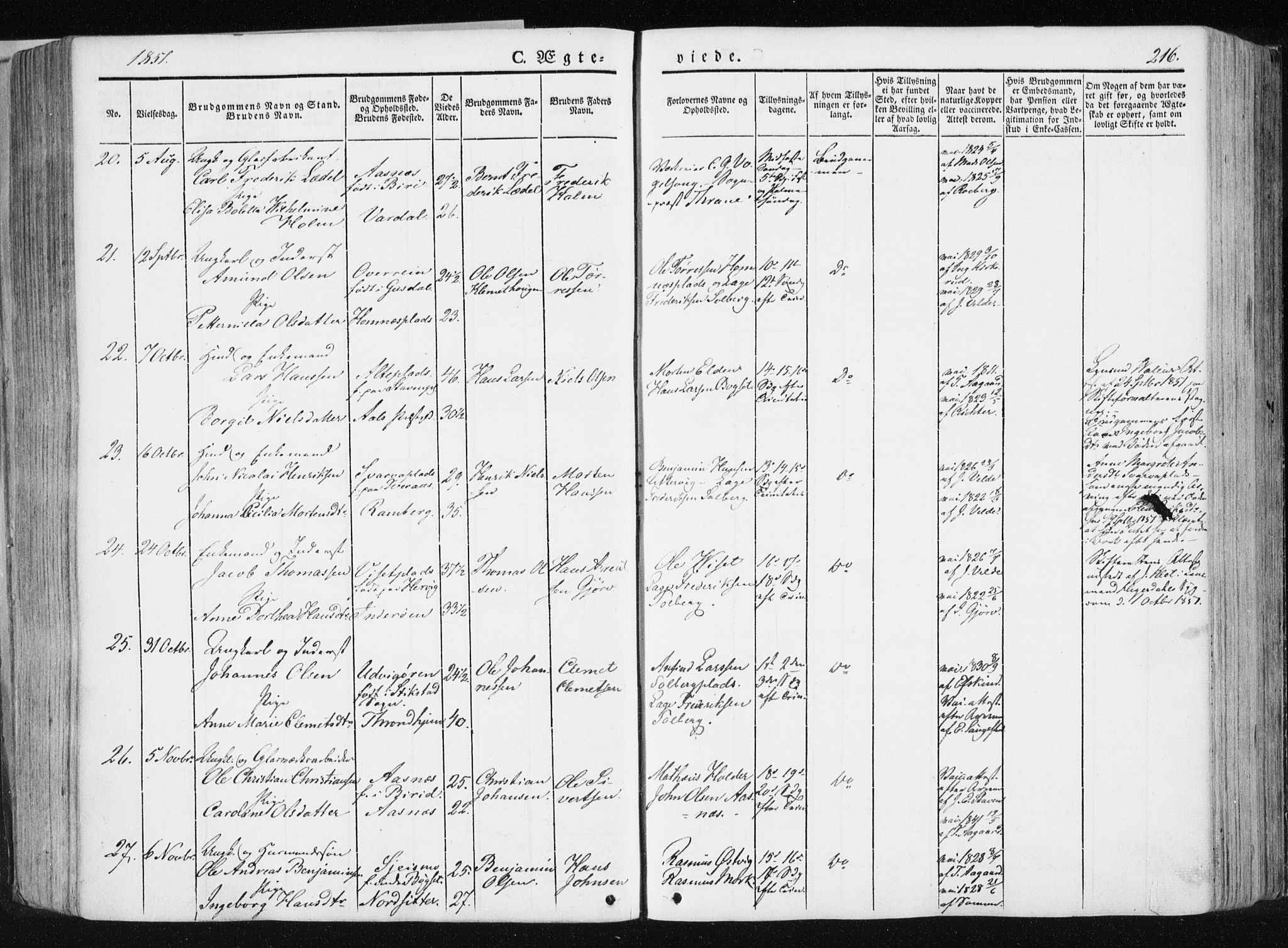 Ministerialprotokoller, klokkerbøker og fødselsregistre - Nord-Trøndelag, SAT/A-1458/741/L0393: Parish register (official) no. 741A07, 1849-1863, p. 216