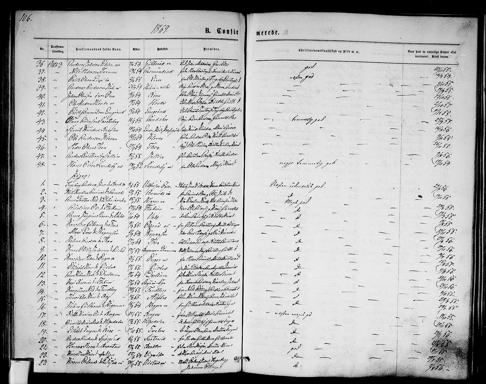 Modum kirkebøker, AV/SAKO-A-234/G/Ga/L0007: Parish register (copy) no. I 7, 1869-1878, p. 106