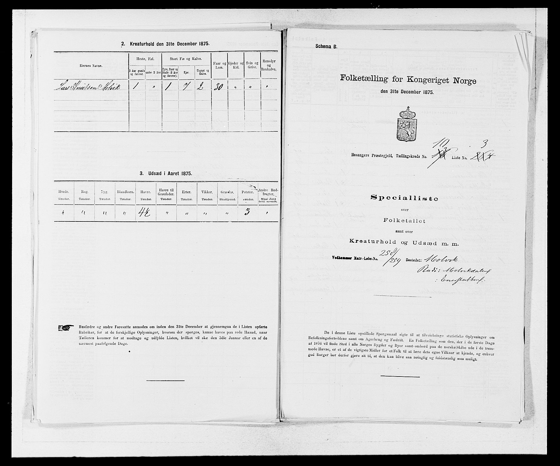 SAB, 1875 census for 1253P Hosanger, 1875, p. 707