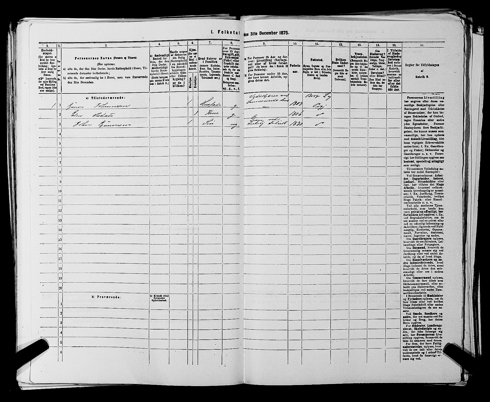 RA, 1875 census for 0113P Borge, 1875, p. 806