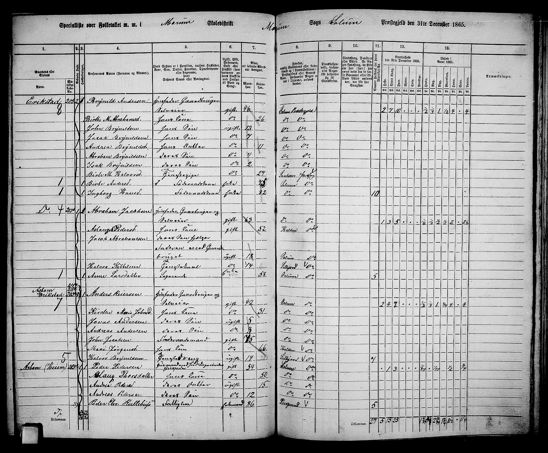 RA, 1865 census for Solum, 1865, p. 177