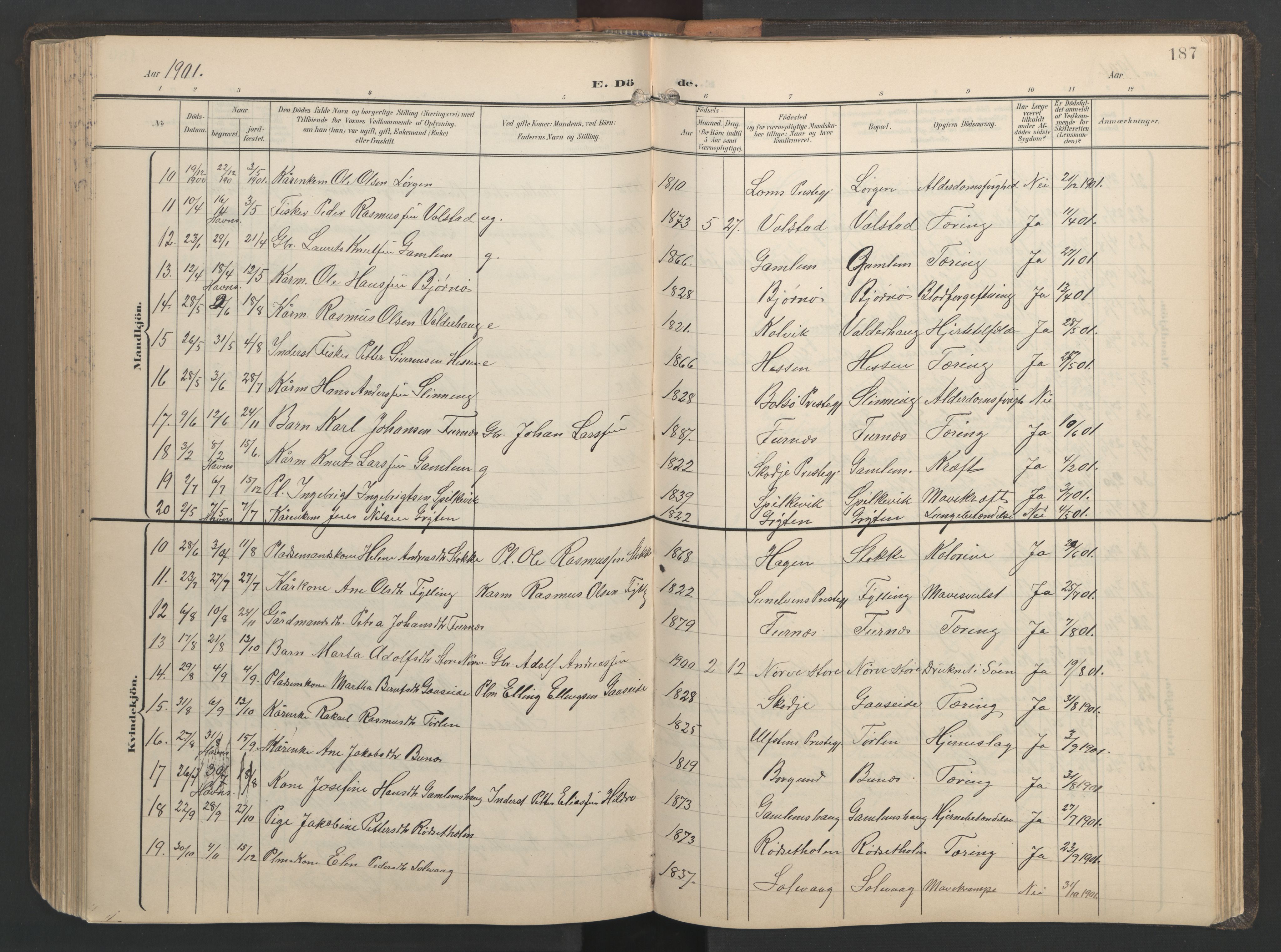 Ministerialprotokoller, klokkerbøker og fødselsregistre - Møre og Romsdal, AV/SAT-A-1454/528/L0433: Parish register (copy) no. 528C14, 1899-1922, p. 187