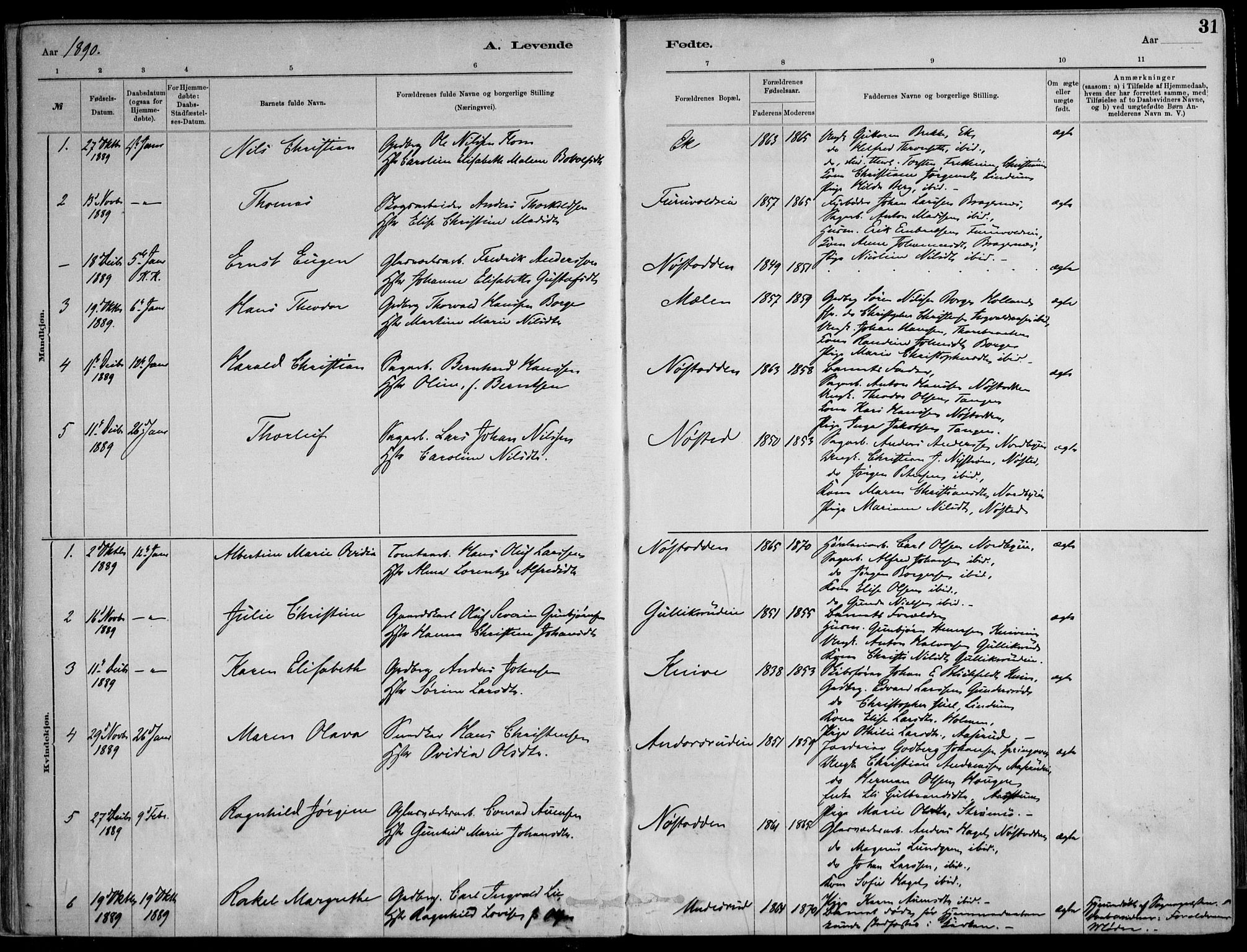 Skoger kirkebøker, AV/SAKO-A-59/F/Fa/L0006: Parish register (official) no. I 6, 1885-1910, p. 31