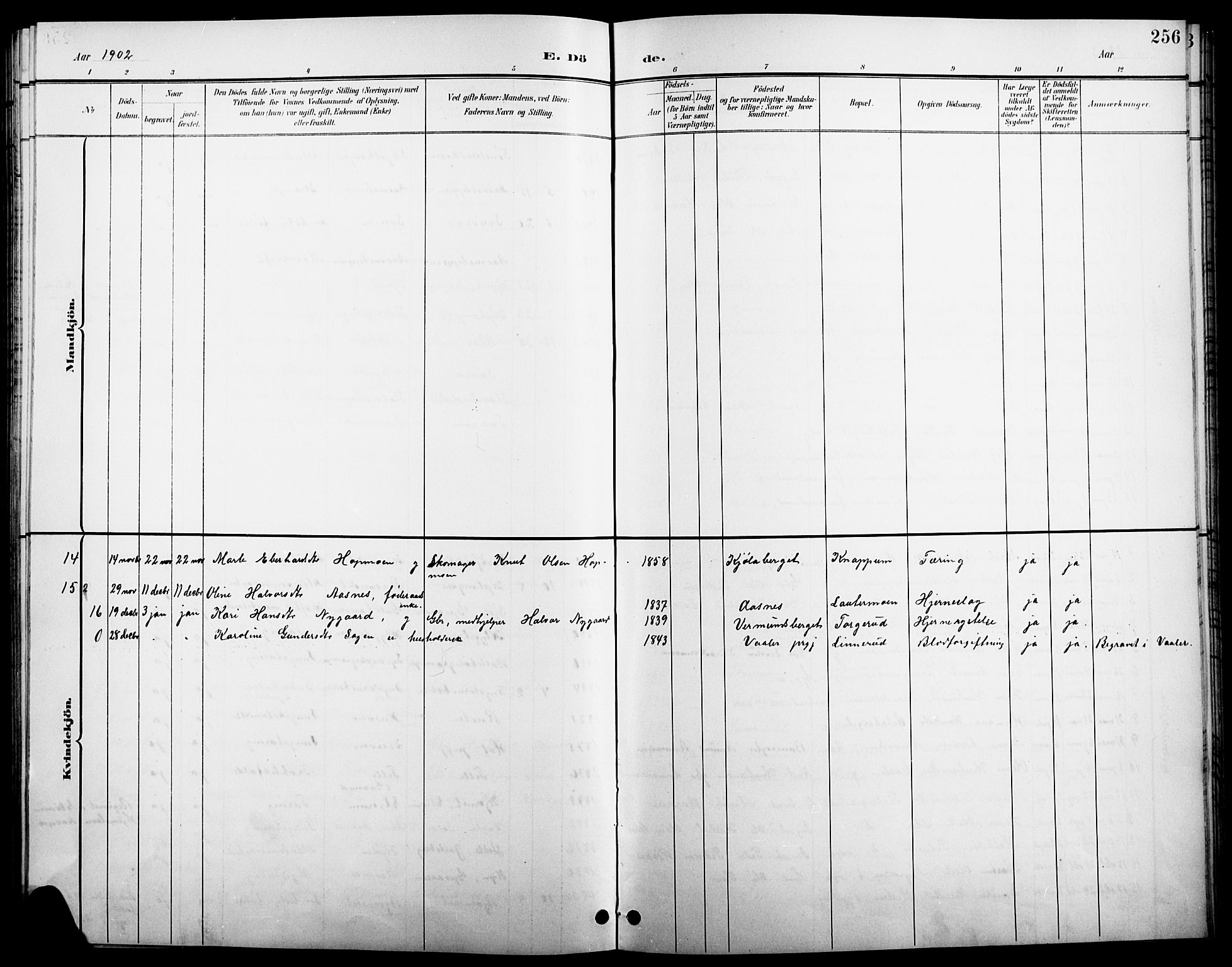 Åsnes prestekontor, SAH/PREST-042/H/Ha/Hab/L0004: Parish register (copy) no. 4, 1895-1909, p. 256