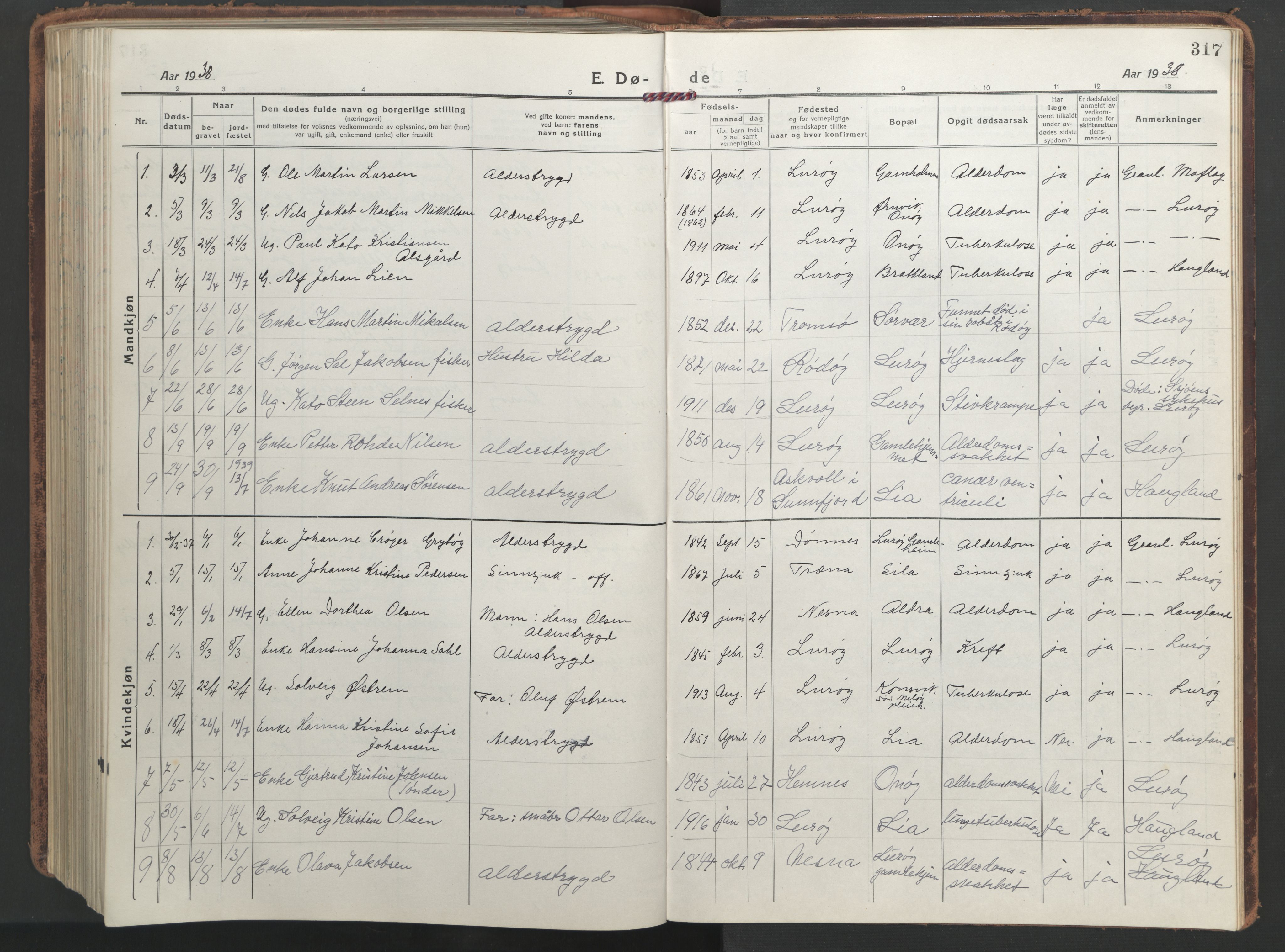 Ministerialprotokoller, klokkerbøker og fødselsregistre - Nordland, SAT/A-1459/839/L0574: Parish register (copy) no. 839C04, 1918-1950, p. 317