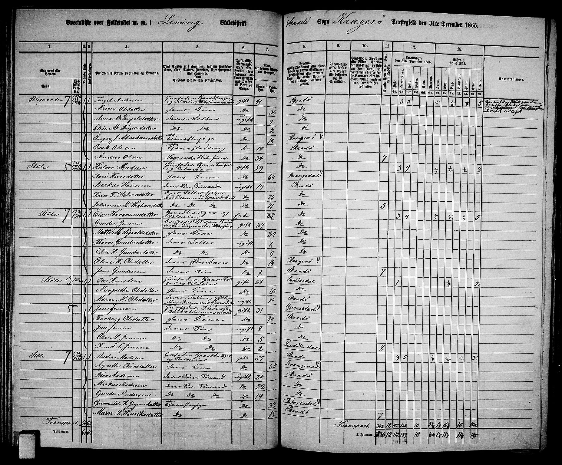 RA, 1865 census for Kragerø/Sannidal og Skåtøy, 1865, p. 99