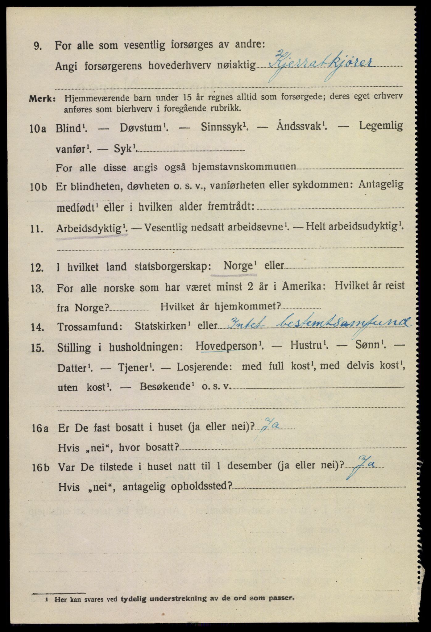 SAKO, 1920 census for Larvik, 1920, p. 9295