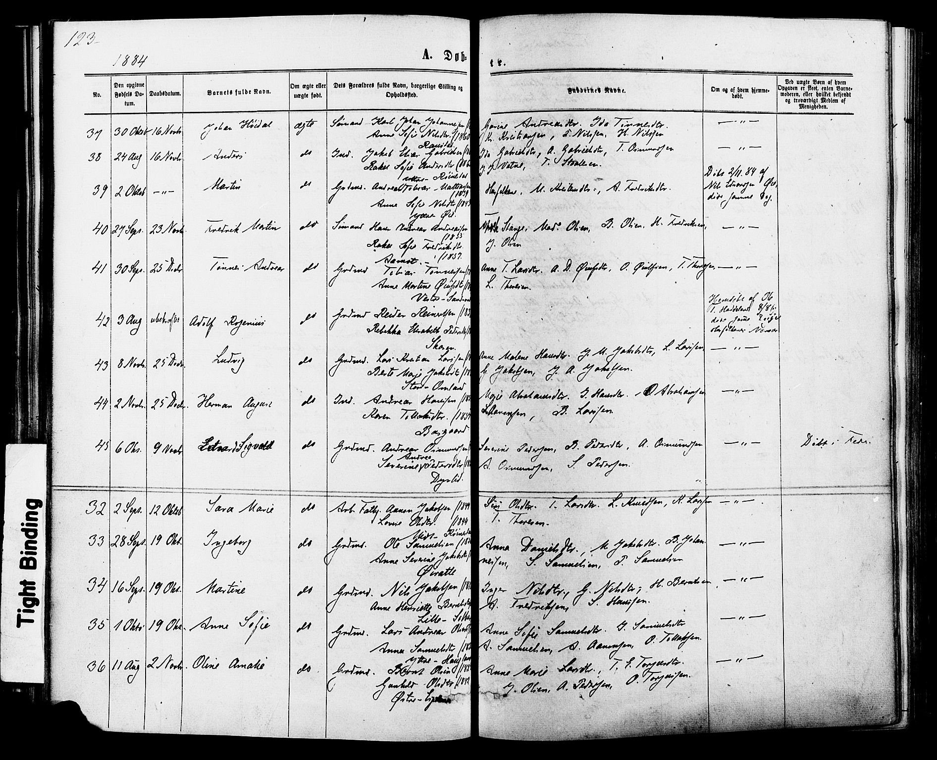 Kvinesdal sokneprestkontor, AV/SAK-1111-0026/F/Fa/Fab/L0007: Parish register (official) no. A 7, 1870-1885, p. 123