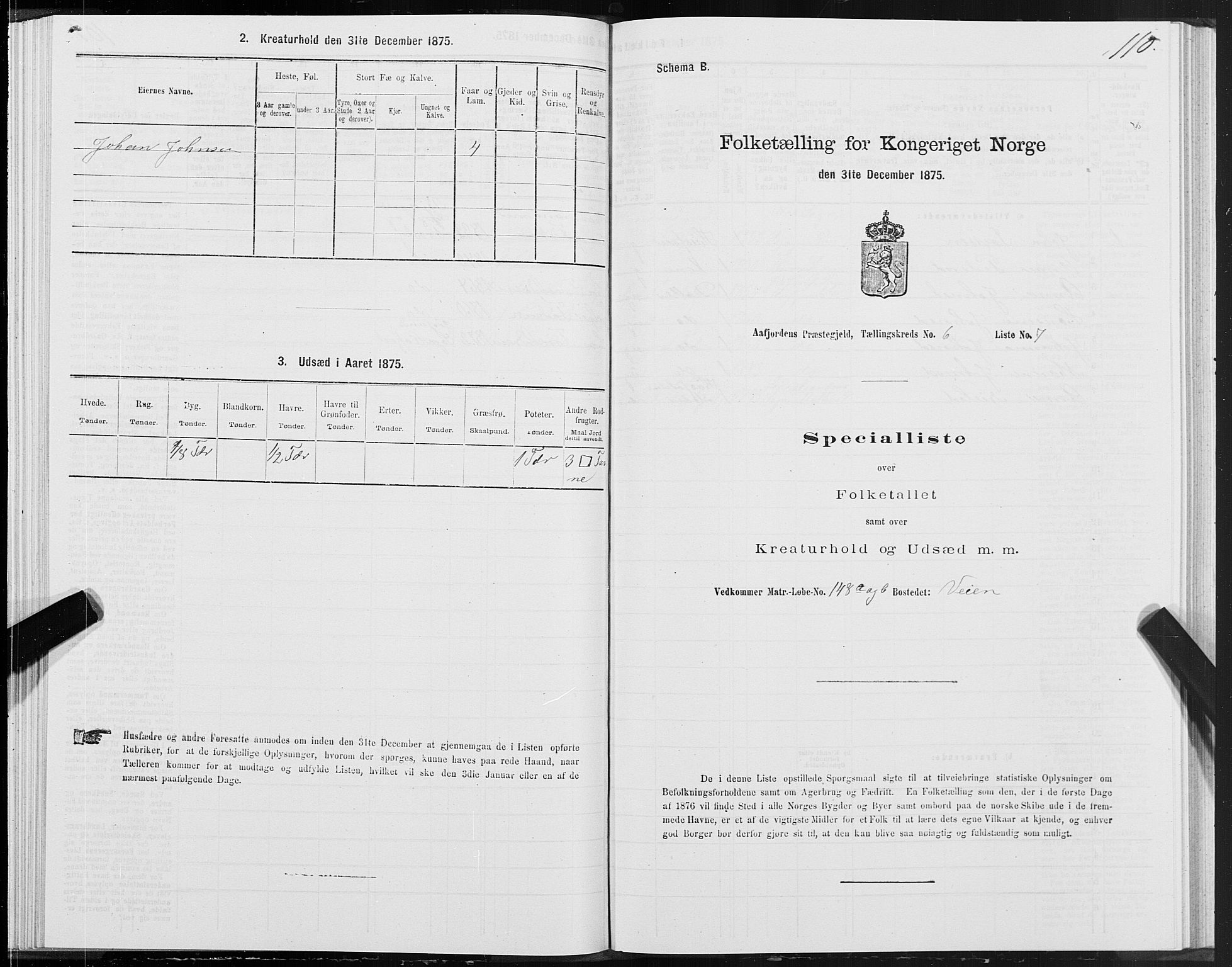 SAT, 1875 census for 1630P Aafjorden, 1875, p. 3110