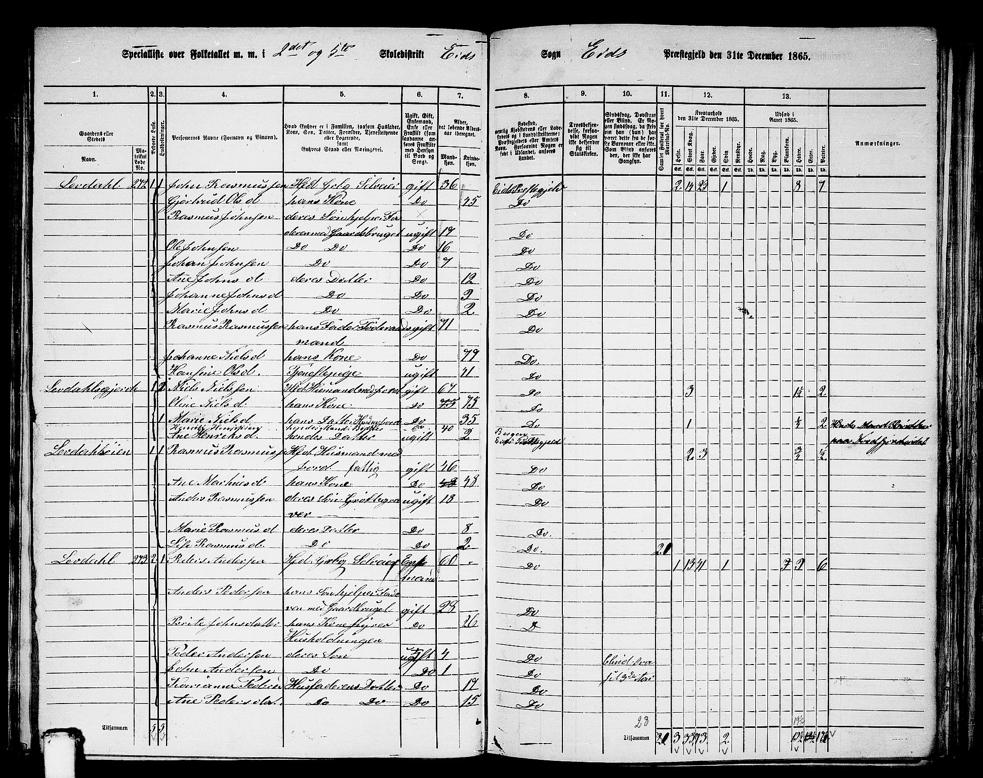 RA, 1865 census for Eid, 1865, p. 111