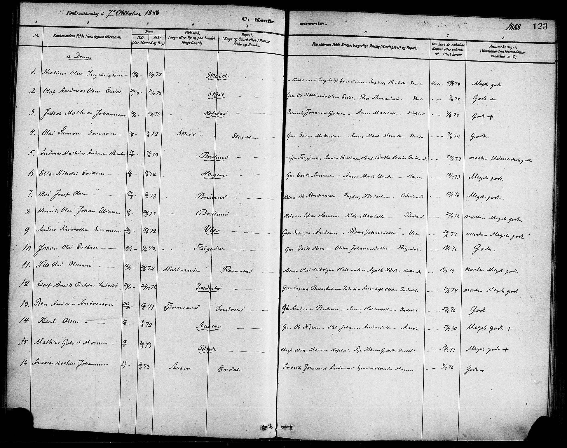 Førde sokneprestembete, AV/SAB-A-79901/H/Haa/Haab/L0001: Parish register (official) no. B 1, 1880-1898, p. 123