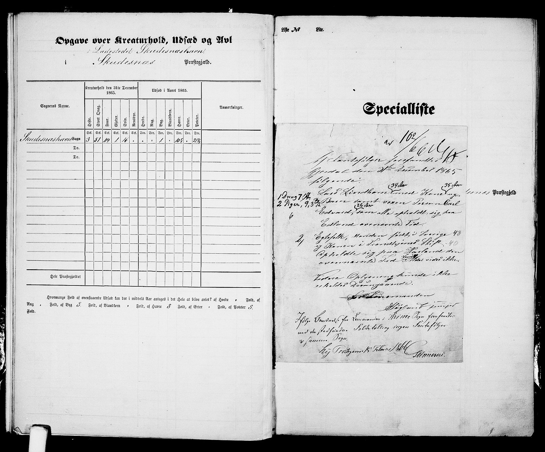 RA, 1865 census for Skudenes, 1865, p. 210