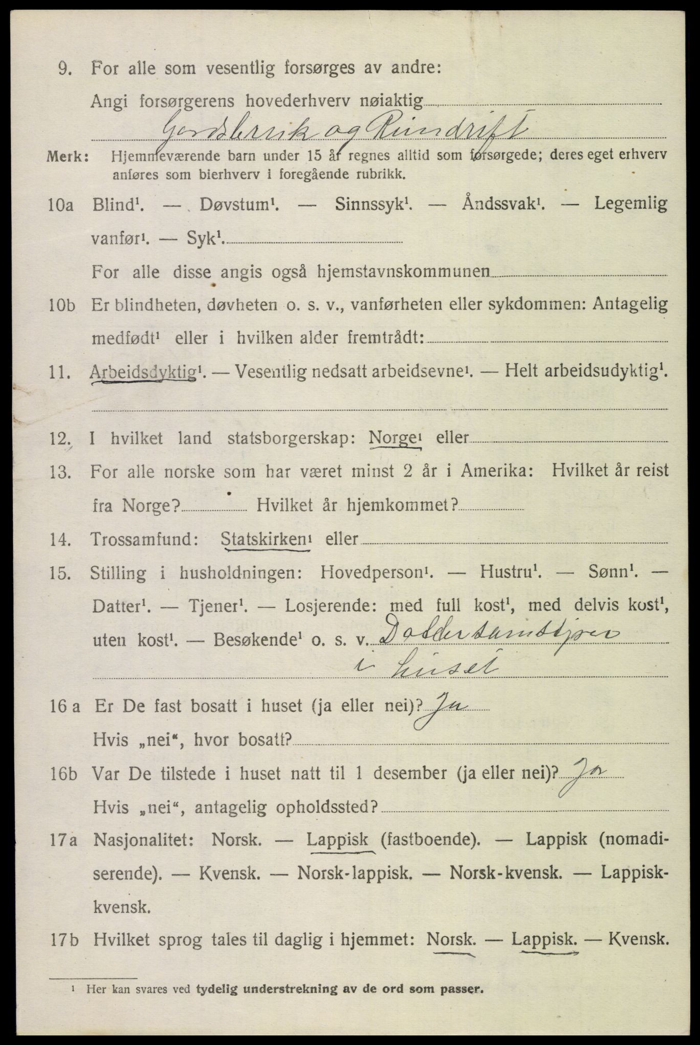 SAT, 1920 census for Bodin, 1920, p. 9311