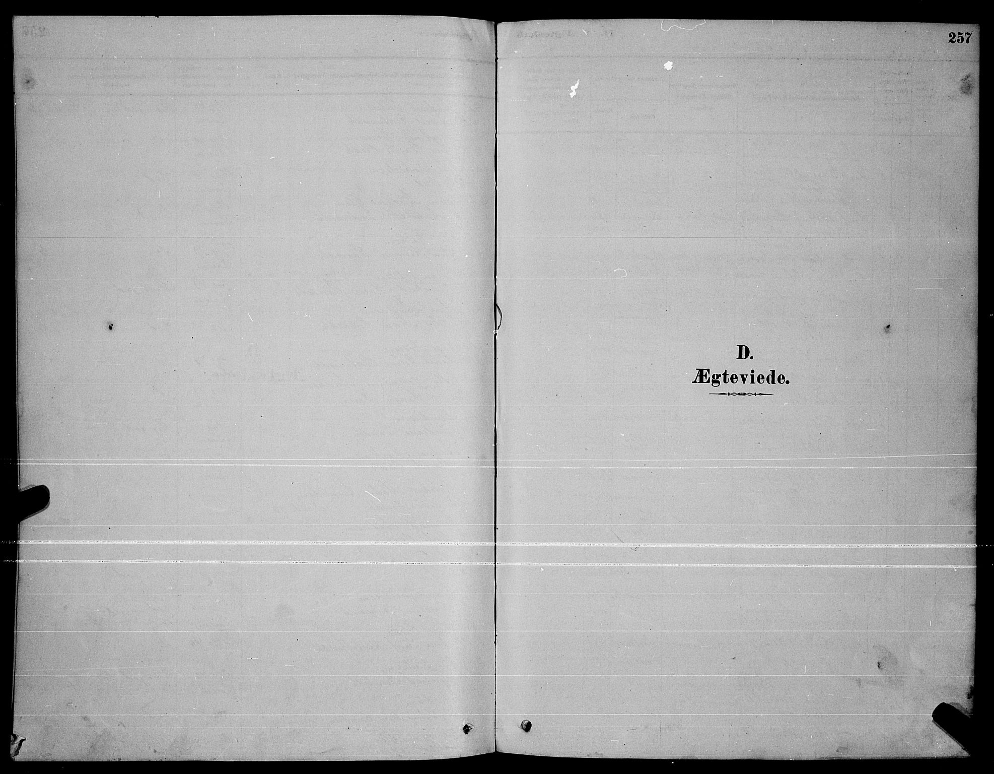 Ministerialprotokoller, klokkerbøker og fødselsregistre - Nordland, SAT/A-1459/888/L1267: Parish register (copy) no. 888C05, 1878-1890, p. 257