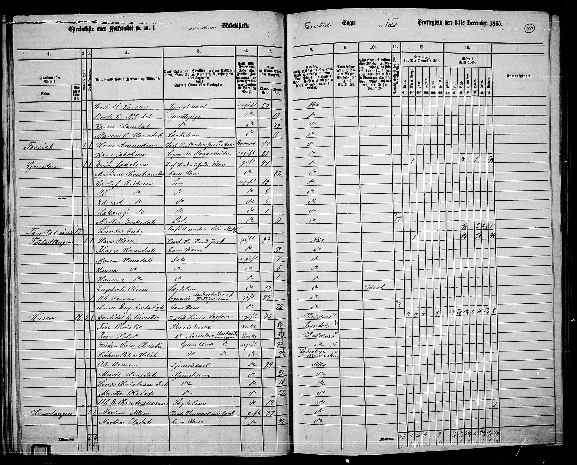 RA, 1865 census for Nes, 1865, p. 37