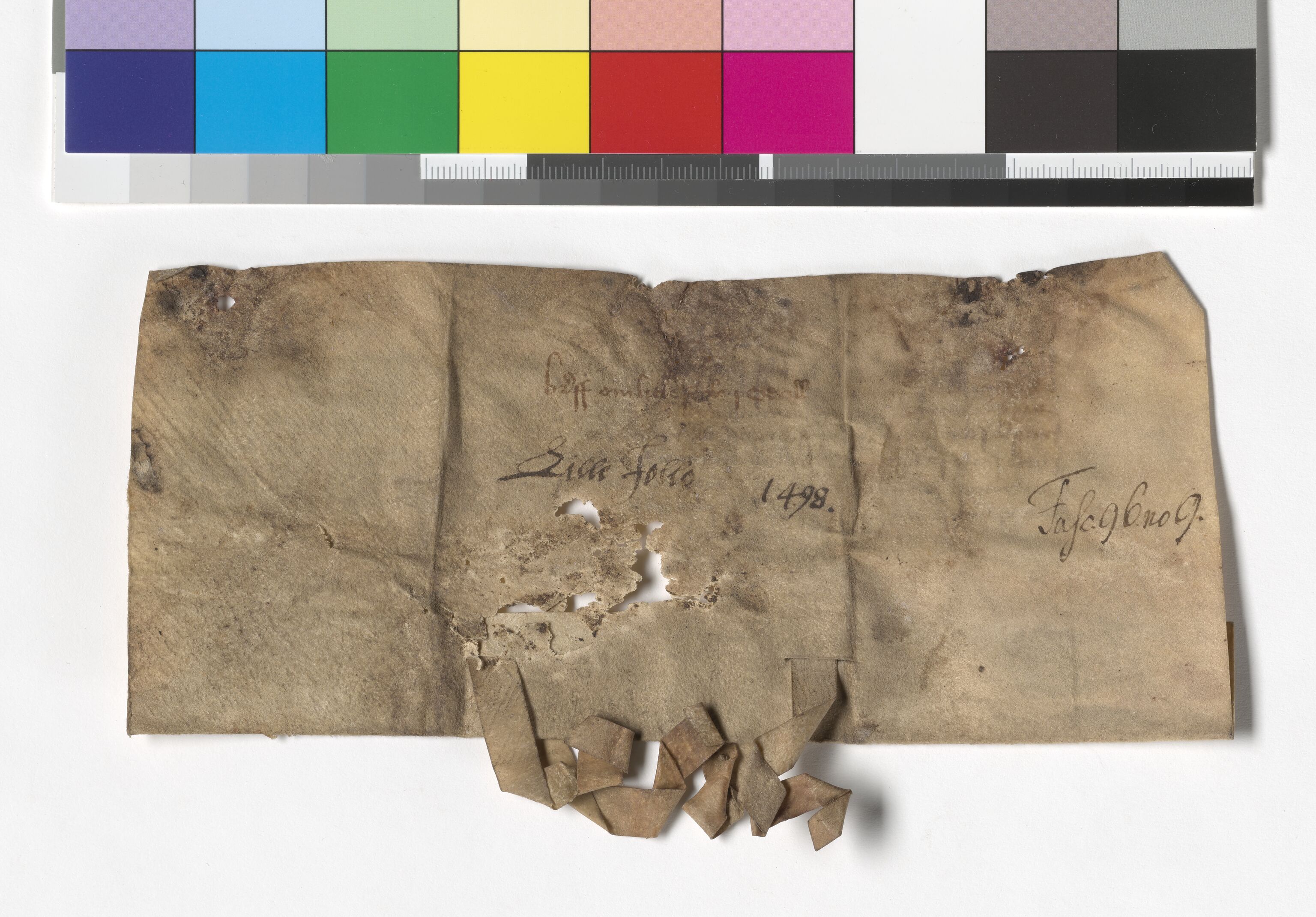 Riksarkivets diplomsamling, AV/RA-EA-5965/F05/L0233: NRA AM fasc. 96 nr. 6 - fasc. 97 nr. 1, 1494-1502, p. 9