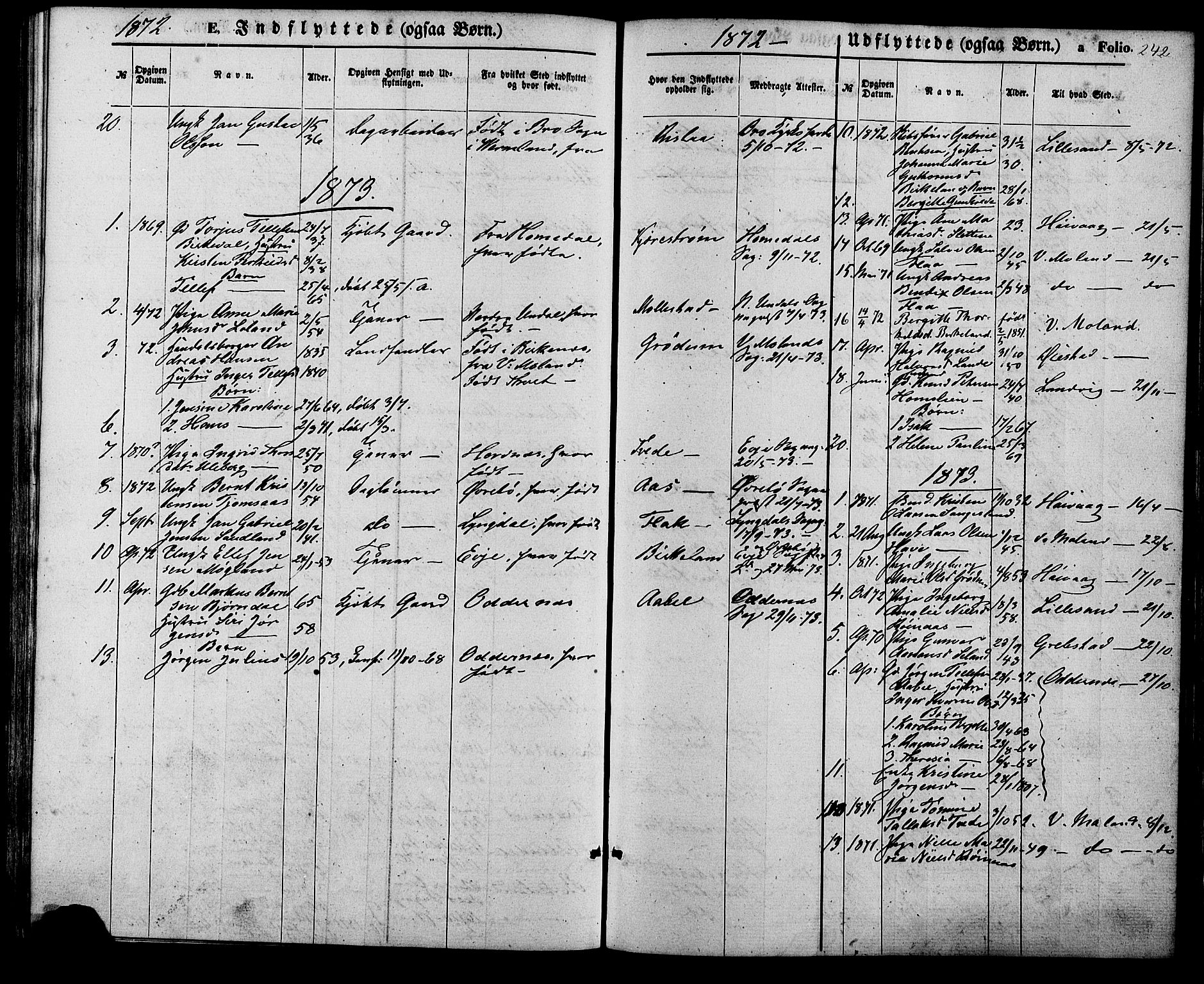 Birkenes sokneprestkontor, AV/SAK-1111-0004/F/Fa/L0004: Parish register (official) no. A 4, 1867-1886, p. 242