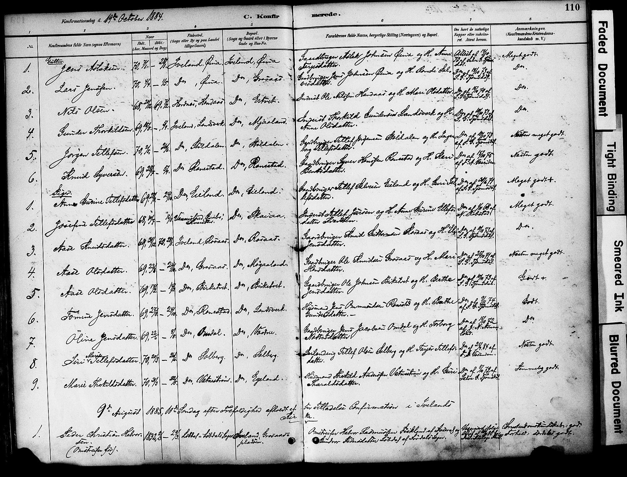 Evje sokneprestkontor, AV/SAK-1111-0008/F/Fa/Fac/L0003: Parish register (official) no. A 3, 1884-1909, p. 110