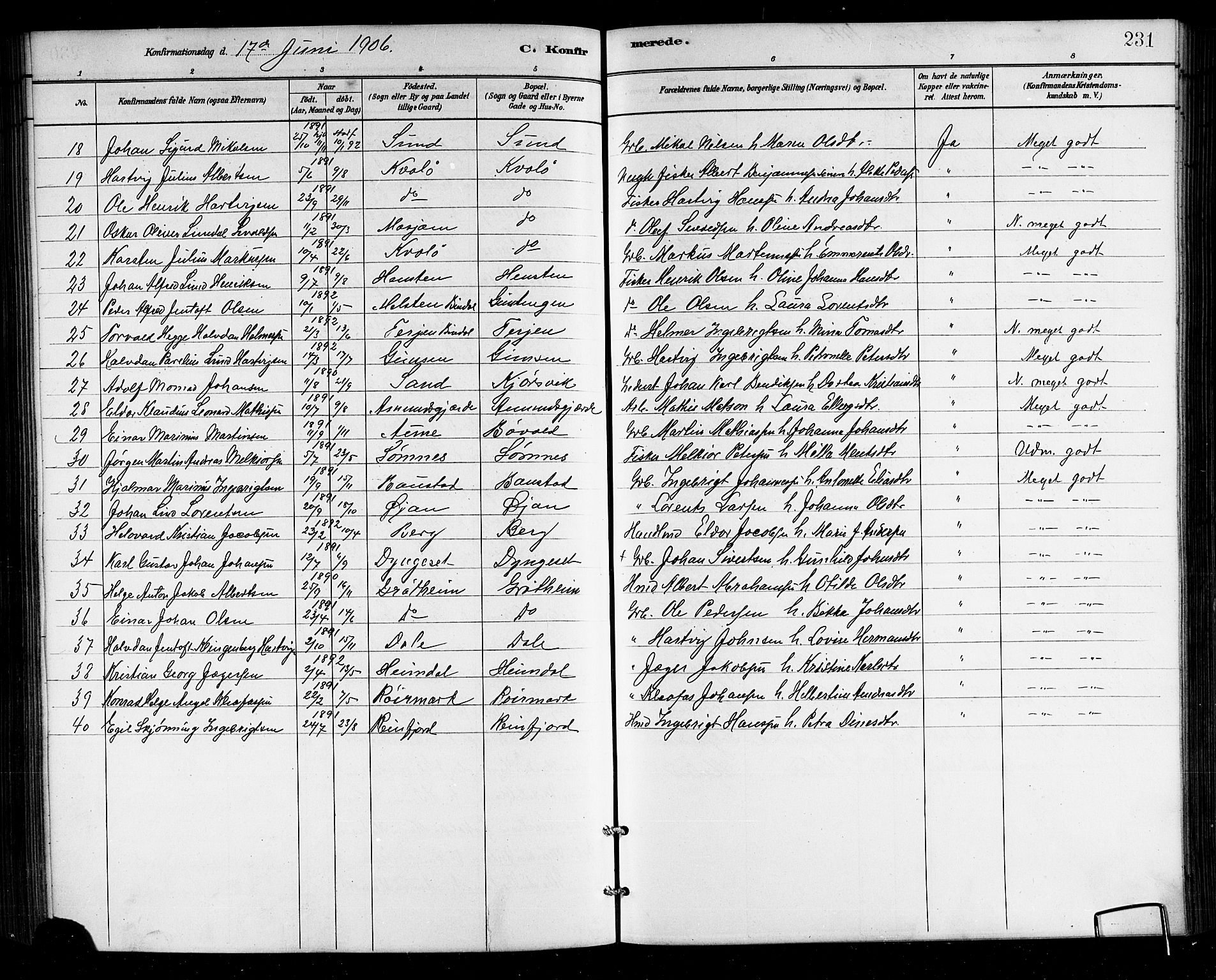 Ministerialprotokoller, klokkerbøker og fødselsregistre - Nordland, AV/SAT-A-1459/812/L0188: Parish register (copy) no. 812C06, 1884-1912, p. 231