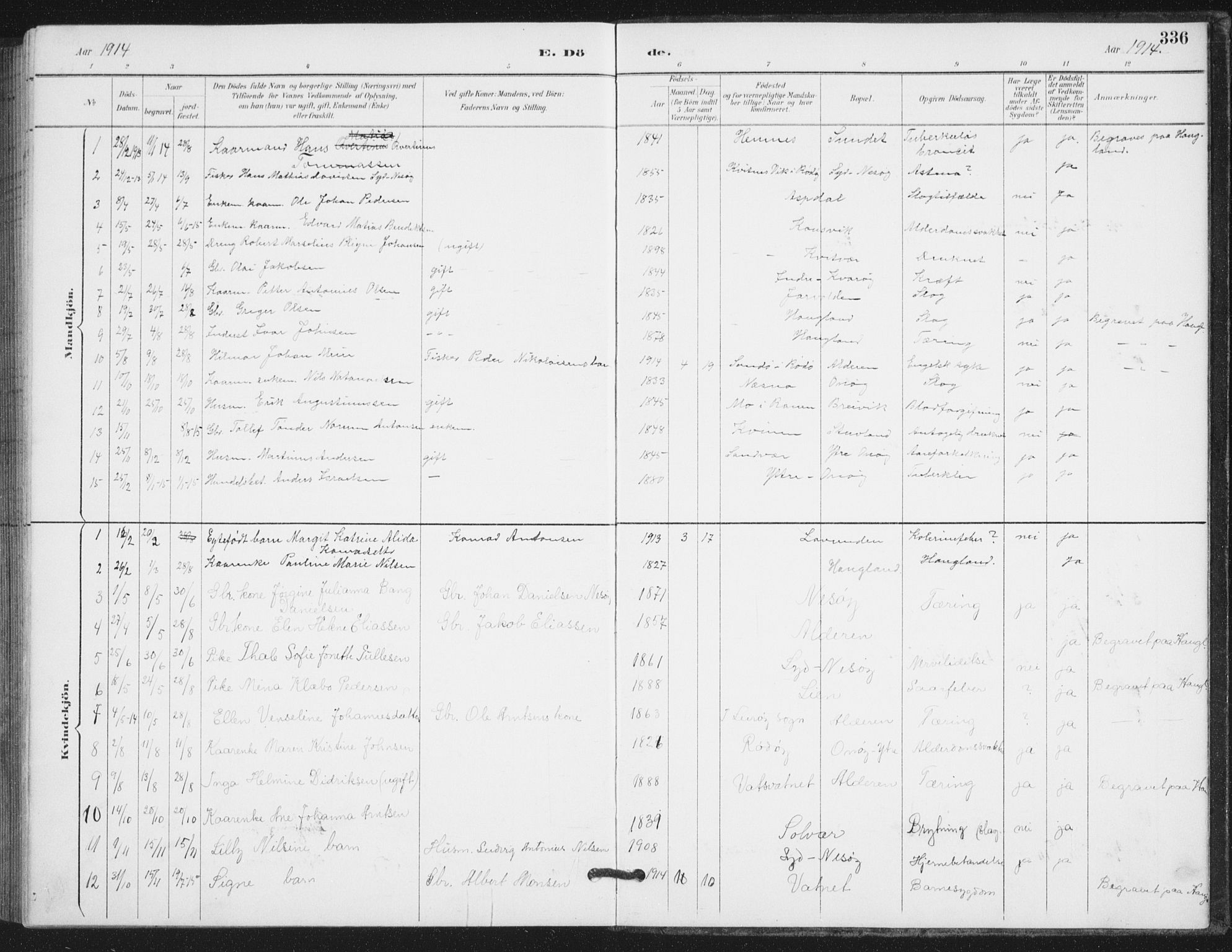 Ministerialprotokoller, klokkerbøker og fødselsregistre - Nordland, SAT/A-1459/839/L0573: Parish register (copy) no. 839C03, 1892-1917, p. 336
