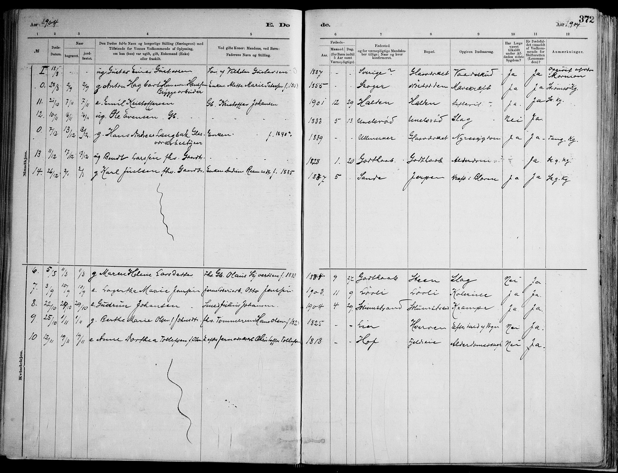 Skoger kirkebøker, AV/SAKO-A-59/F/Fa/L0006: Parish register (official) no. I 6, 1885-1910, p. 372