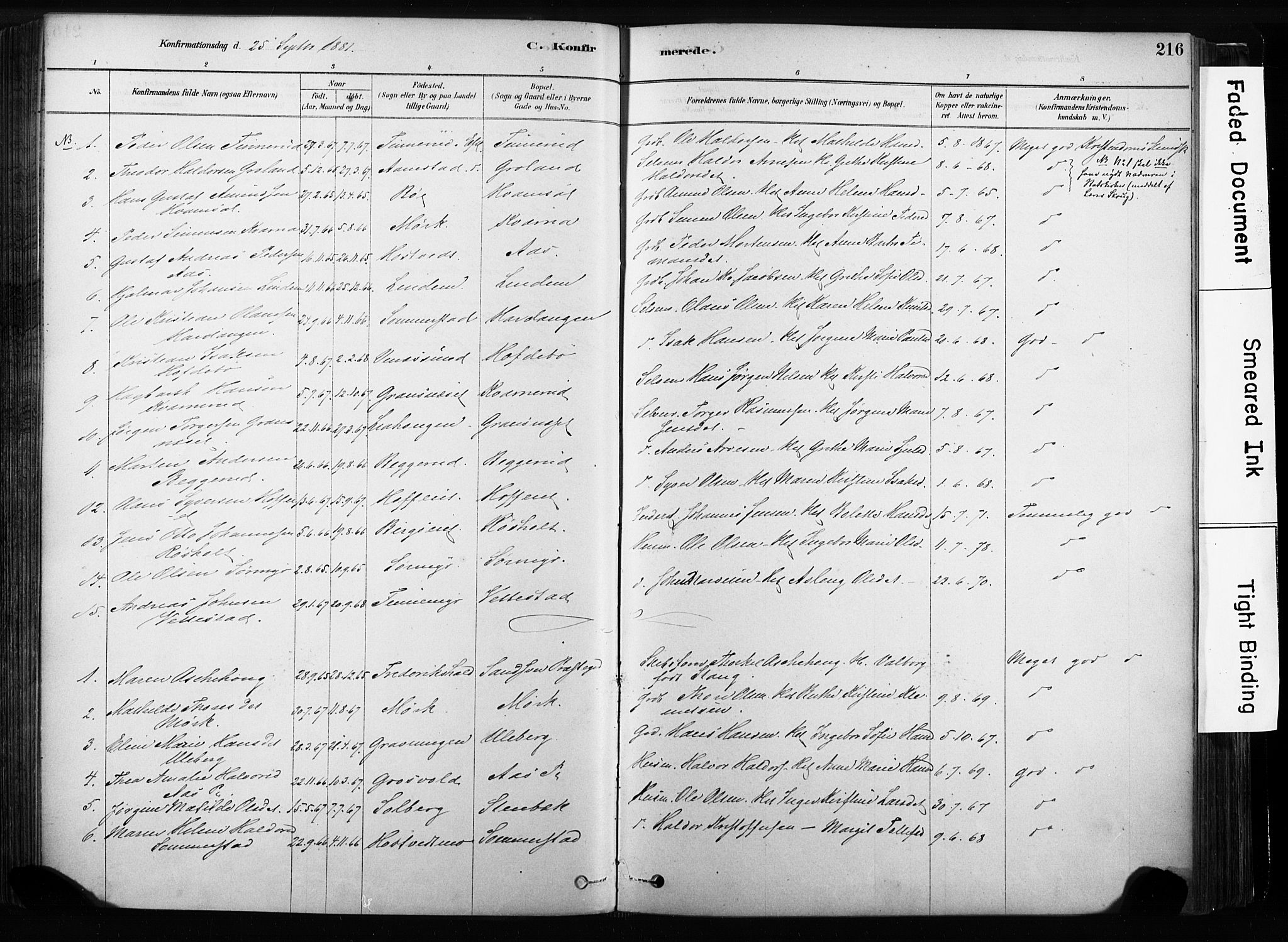 Sandsvær kirkebøker, SAKO/A-244/F/Fb/L0001: Parish register (official) no. II 1, 1878-1906, p. 216