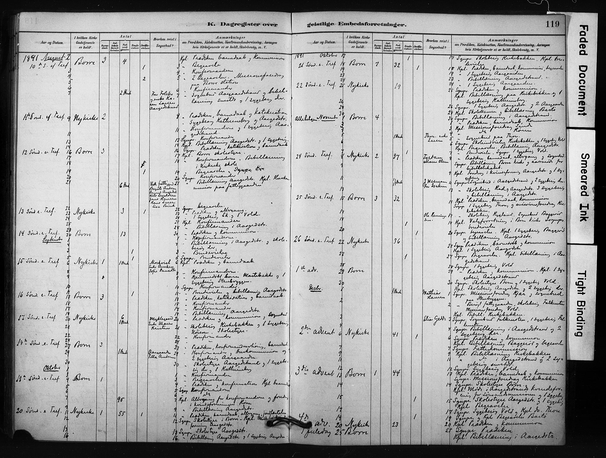 Borre kirkebøker, AV/SAKO-A-338/F/Fc/L0001: Parish register (official) no. III 1, 1878-1896, p. 119