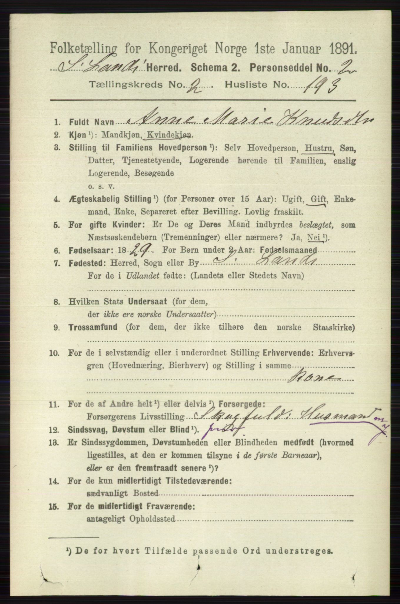 RA, 1891 census for 0536 Søndre Land, 1891, p. 2254