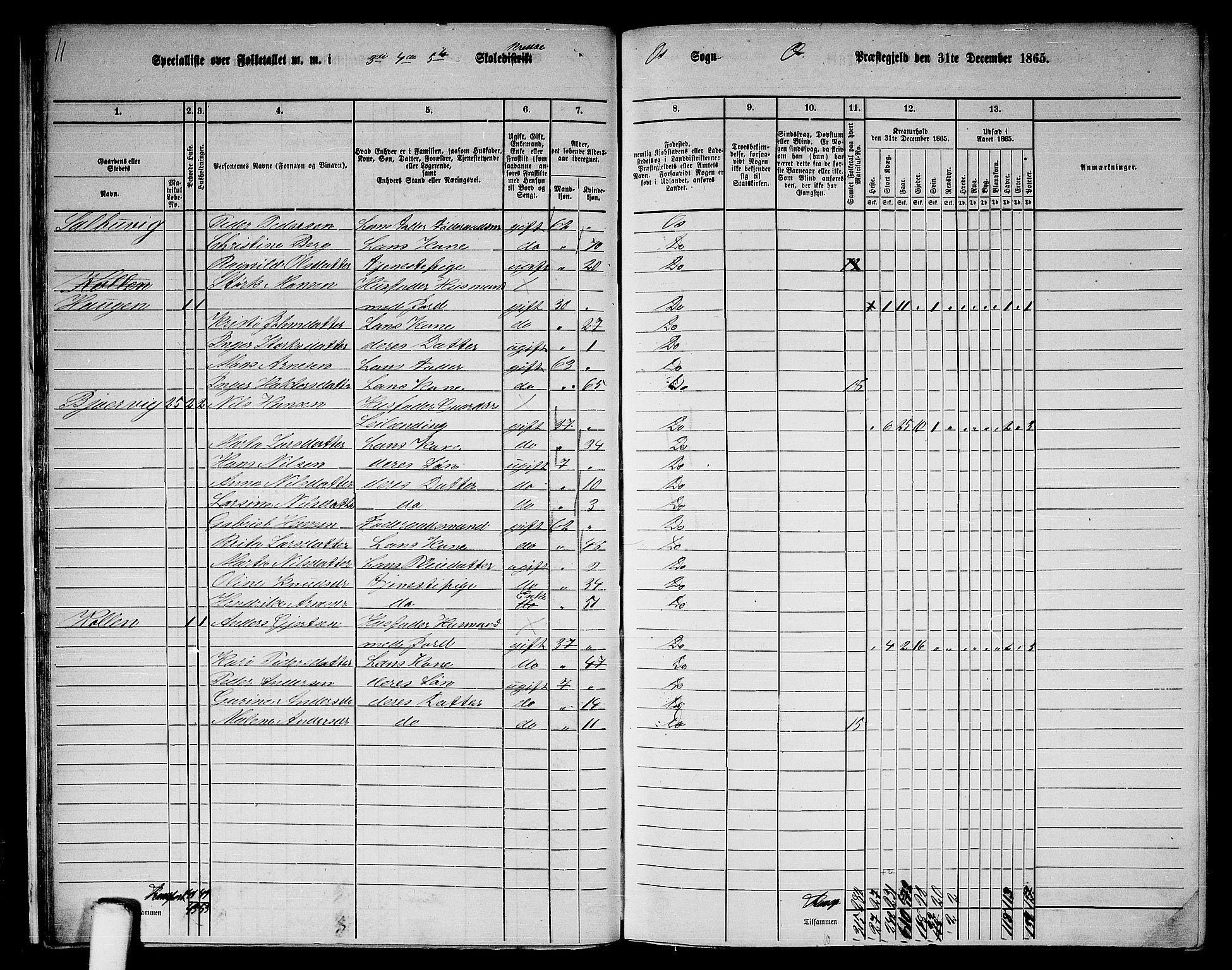 RA, 1865 census for Os, 1865, p. 22