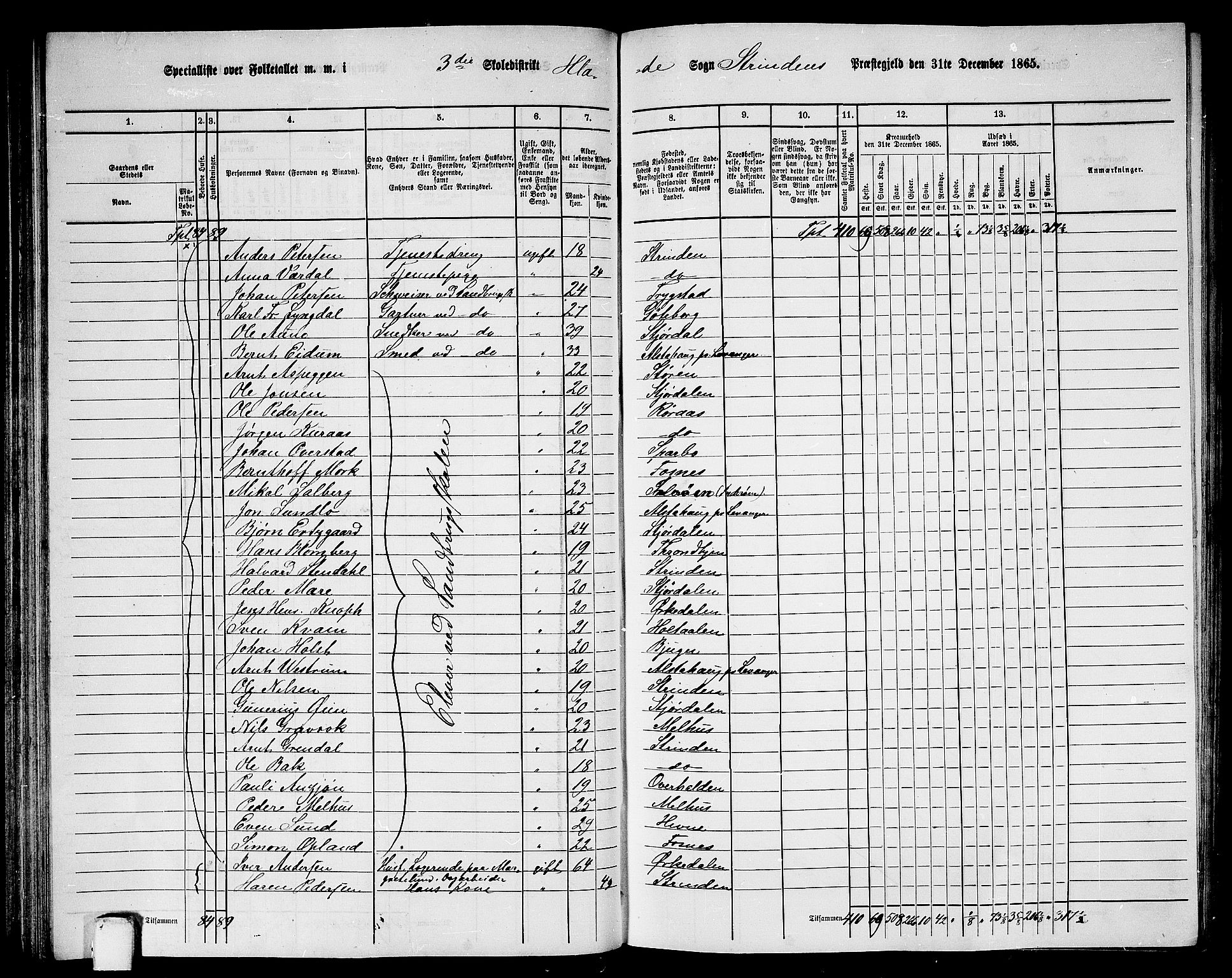 RA, 1865 census for Strinda, 1865, p. 88