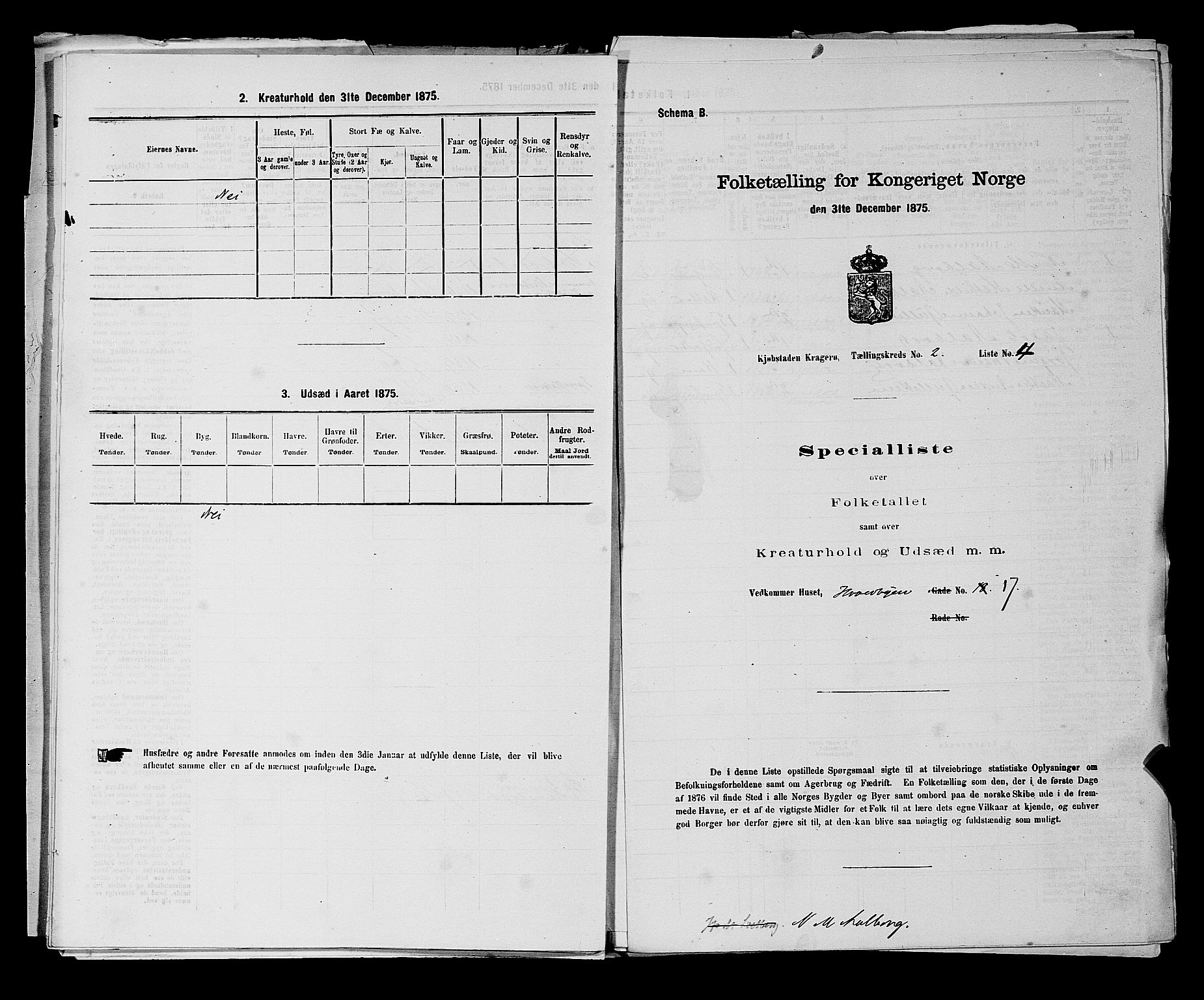 SAKO, 1875 census for 0801P Kragerø, 1875, p. 51