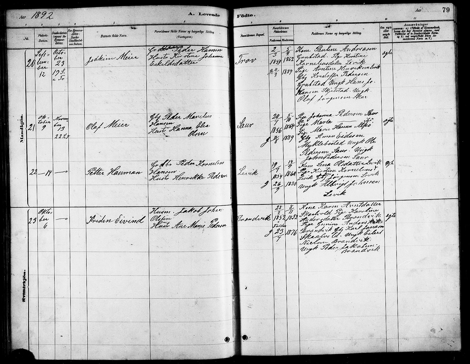 Ministerialprotokoller, klokkerbøker og fødselsregistre - Nordland, AV/SAT-A-1459/857/L0828: Parish register (copy) no. 857C03, 1879-1908, p. 79