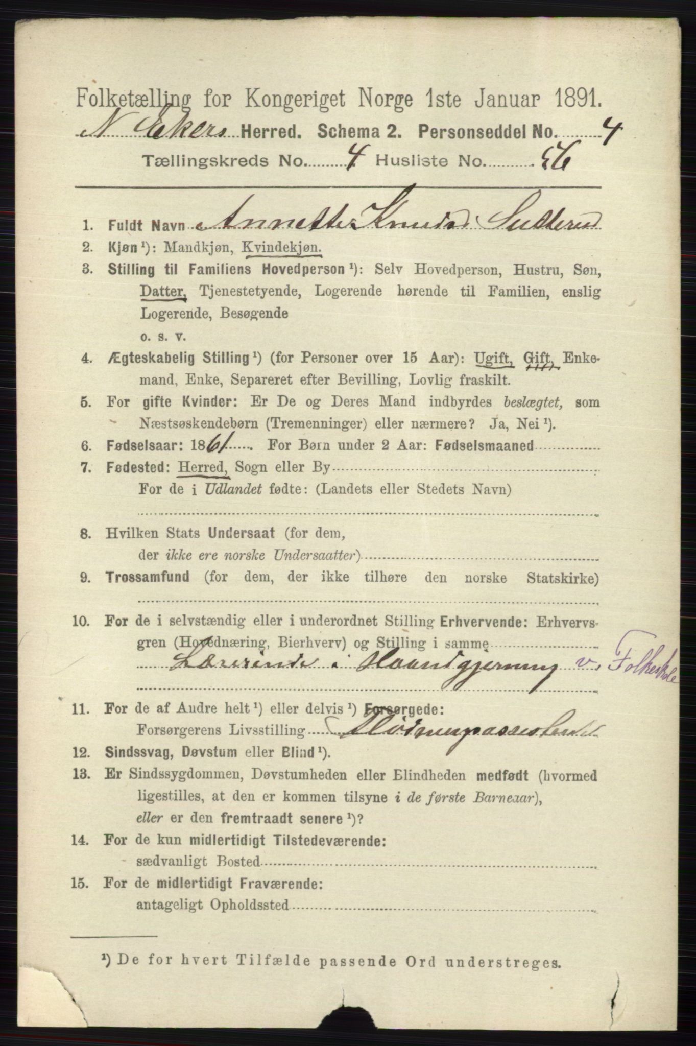 RA, 1891 census for 0625 Nedre Eiker, 1891, p. 2250