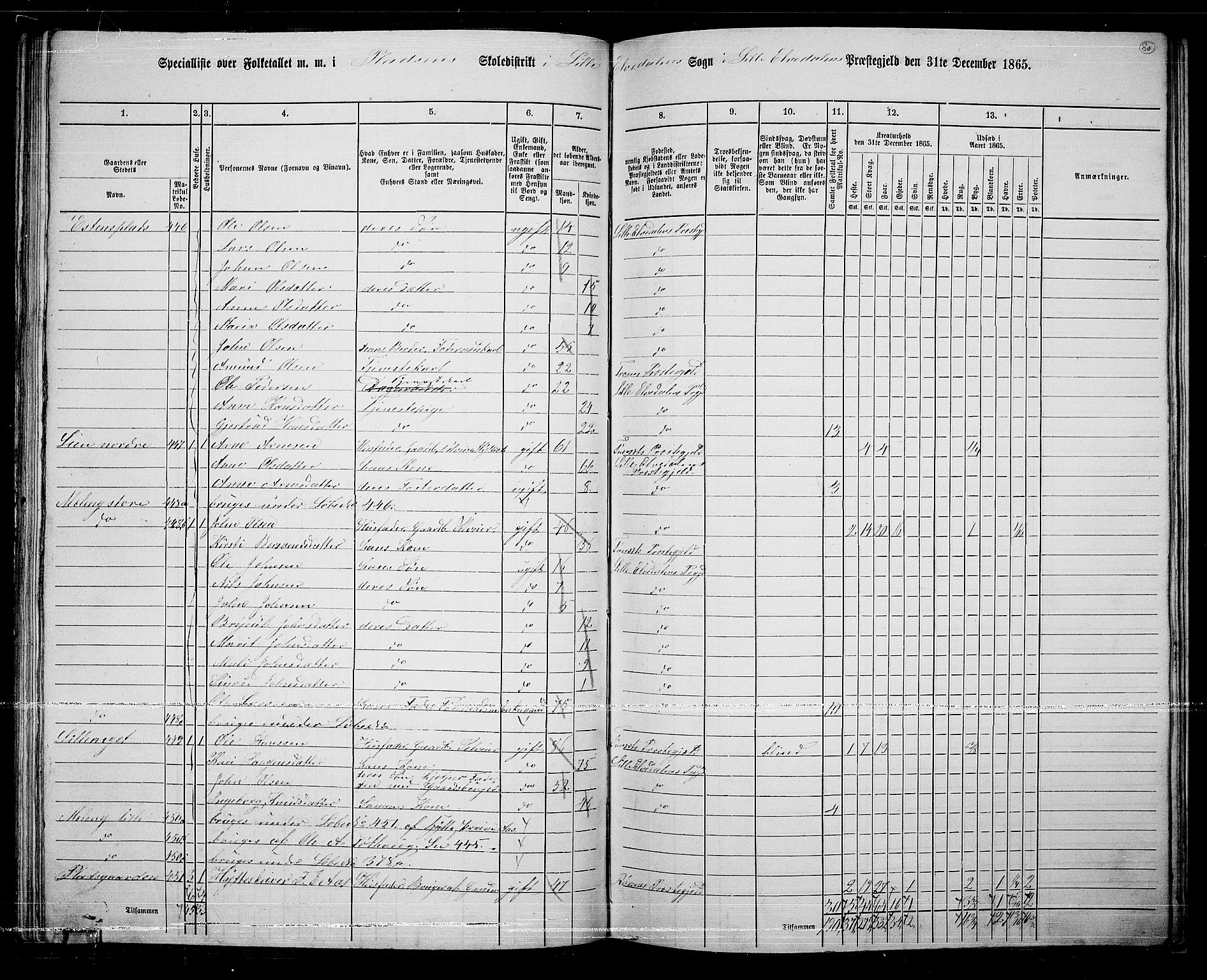 RA, 1865 census for Lille Elvedalen, 1865, p. 72