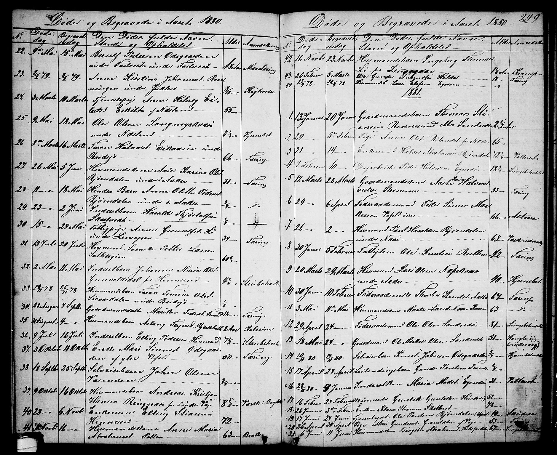 Drangedal kirkebøker, SAKO/A-258/G/Ga/L0002: Parish register (copy) no. I 2, 1856-1887, p. 249