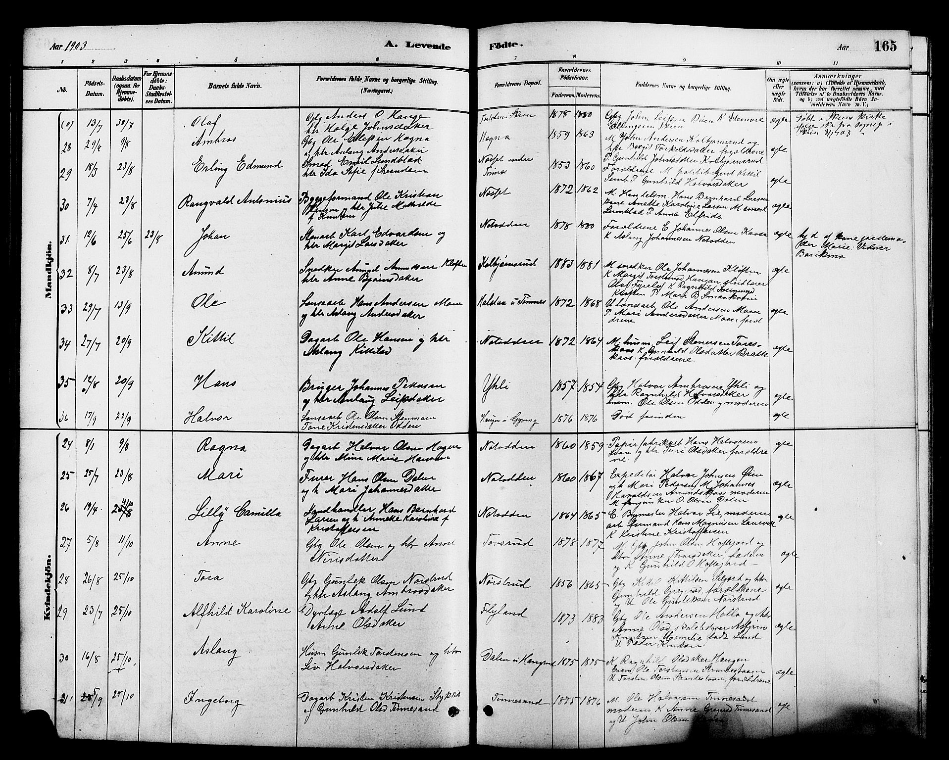 Heddal kirkebøker, SAKO/A-268/G/Ga/L0002: Parish register (copy) no. I 2, 1879-1908, p. 165