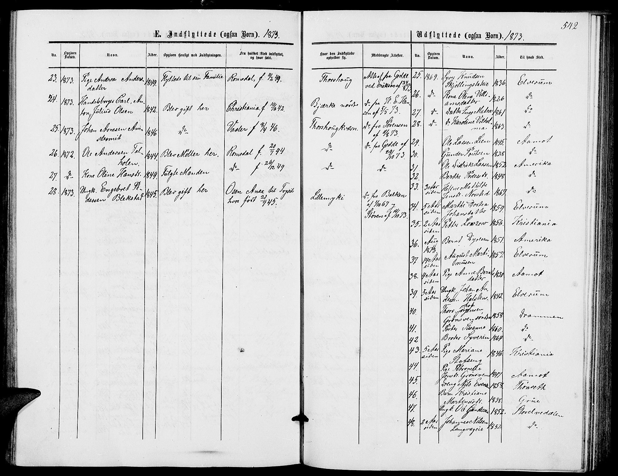 Løten prestekontor, AV/SAH-PREST-022/L/La/L0004: Parish register (copy) no. 4, 1863-1877, p. 542