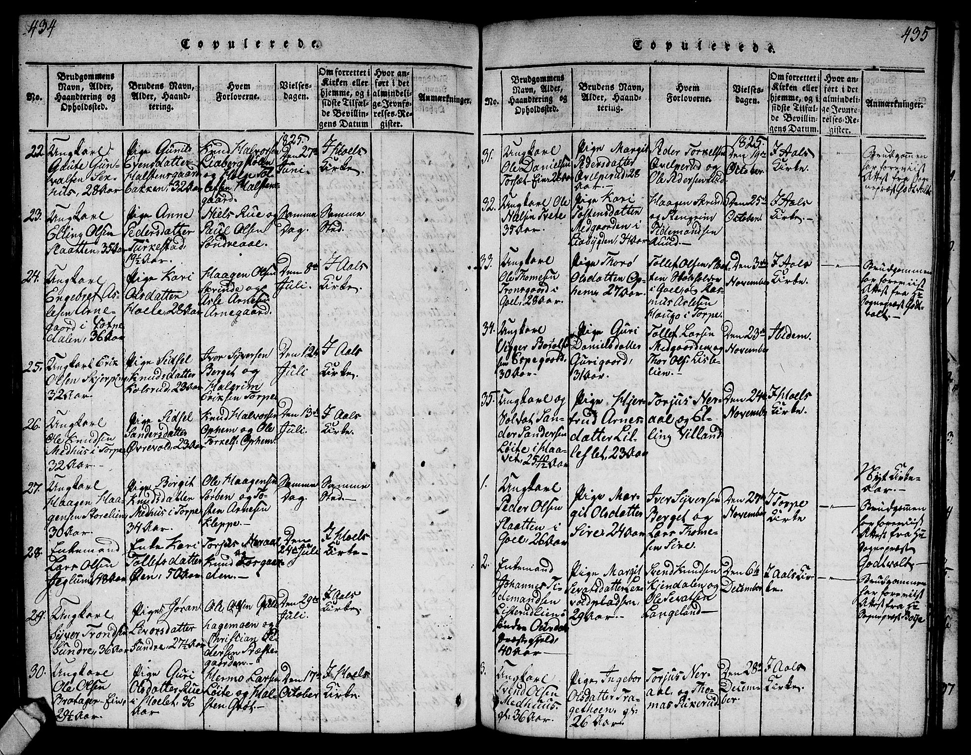 Ål kirkebøker, SAKO/A-249/G/Ga/L0001: Parish register (copy) no. 1, 1815-1829, p. 434-435