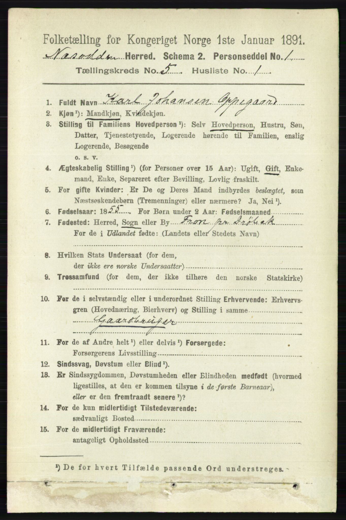 RA, 1891 census for 0216 Nesodden, 1891, p. 1989