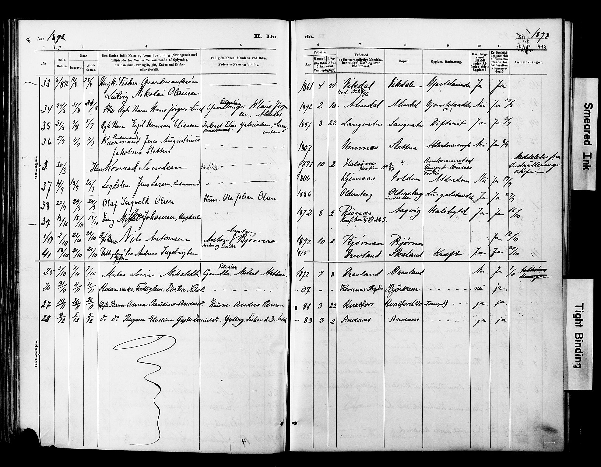 Ministerialprotokoller, klokkerbøker og fødselsregistre - Nordland, AV/SAT-A-1459/820/L0295: Parish register (official) no. 820A16, 1880-1896, p. 413