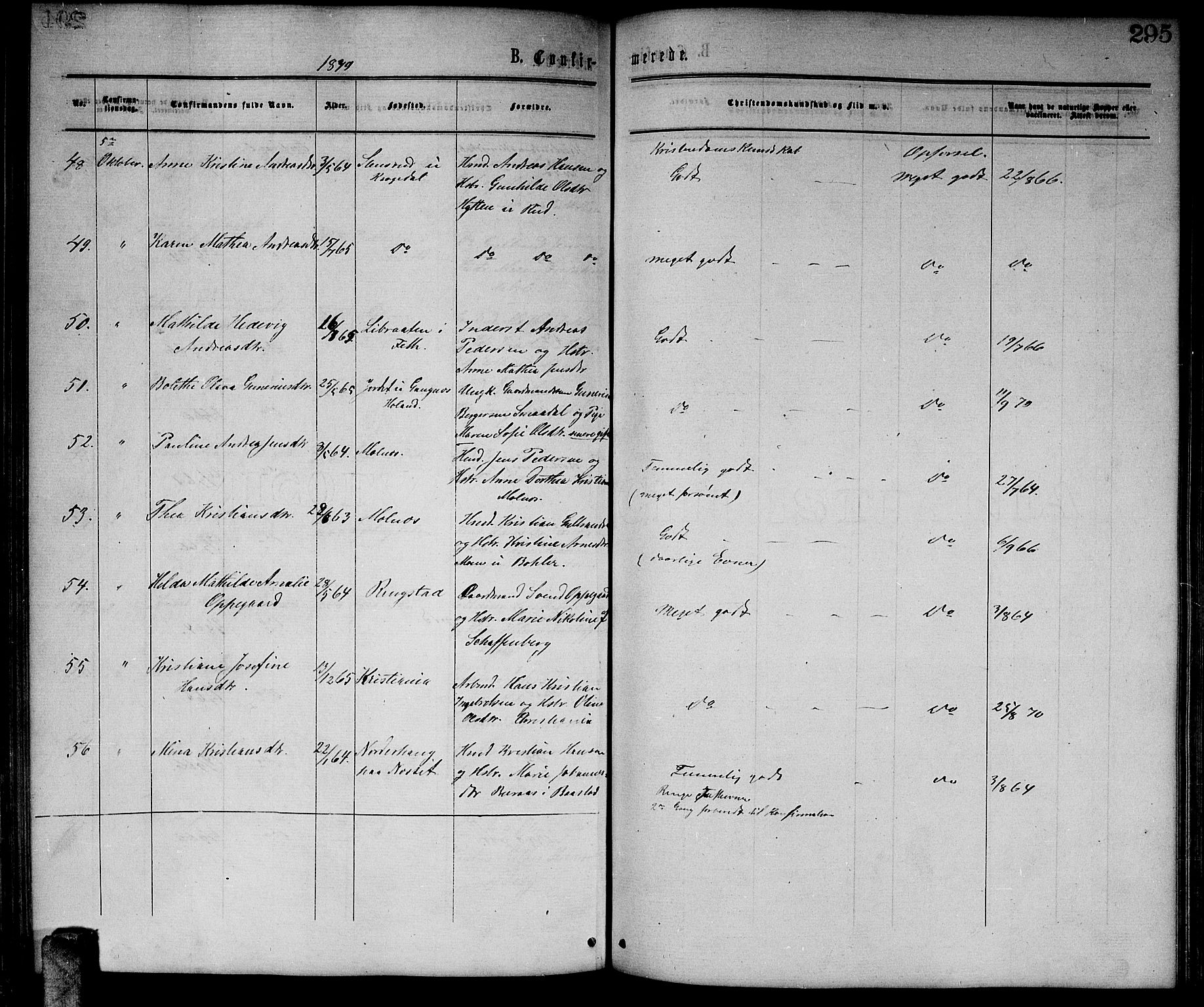 Enebakk prestekontor Kirkebøker, AV/SAO-A-10171c/G/Ga/L0005: Parish register (copy) no. I 5, 1867-1888, p. 295