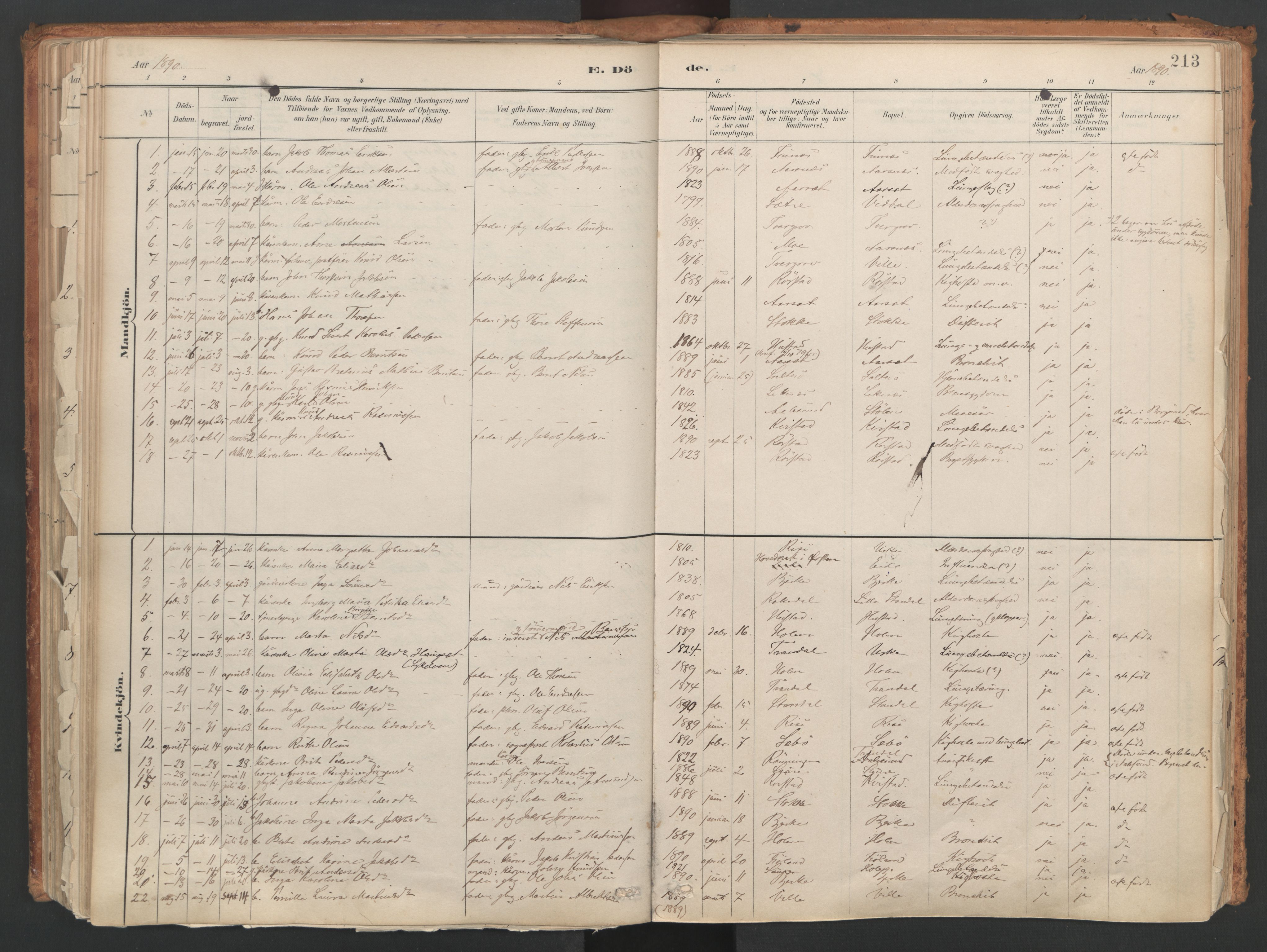 Ministerialprotokoller, klokkerbøker og fødselsregistre - Møre og Romsdal, AV/SAT-A-1454/515/L0211: Parish register (official) no. 515A07, 1886-1910, p. 213
