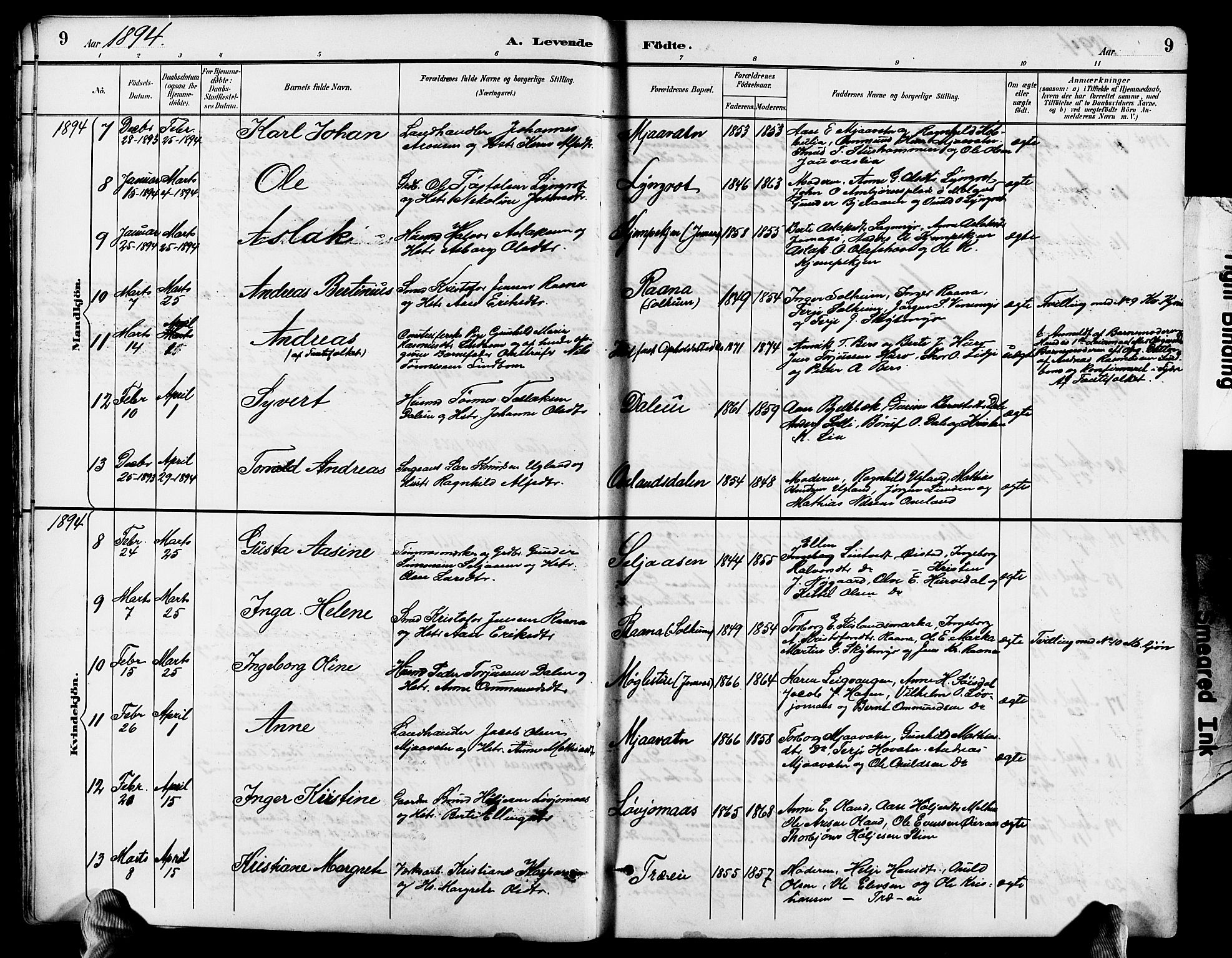 Froland sokneprestkontor, SAK/1111-0013/F/Fb/L0010: Parish register (copy) no. B 10, 1893-1920, p. 9