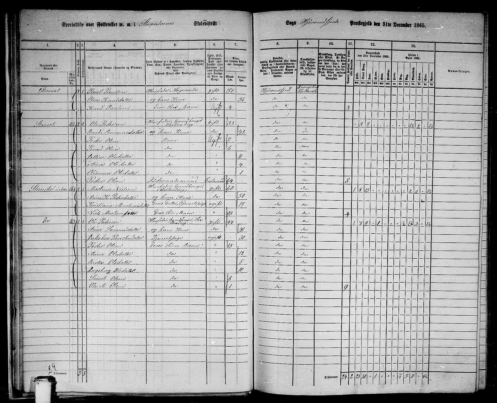 RA, 1865 census for Hjørundfjord, 1865, p. 17