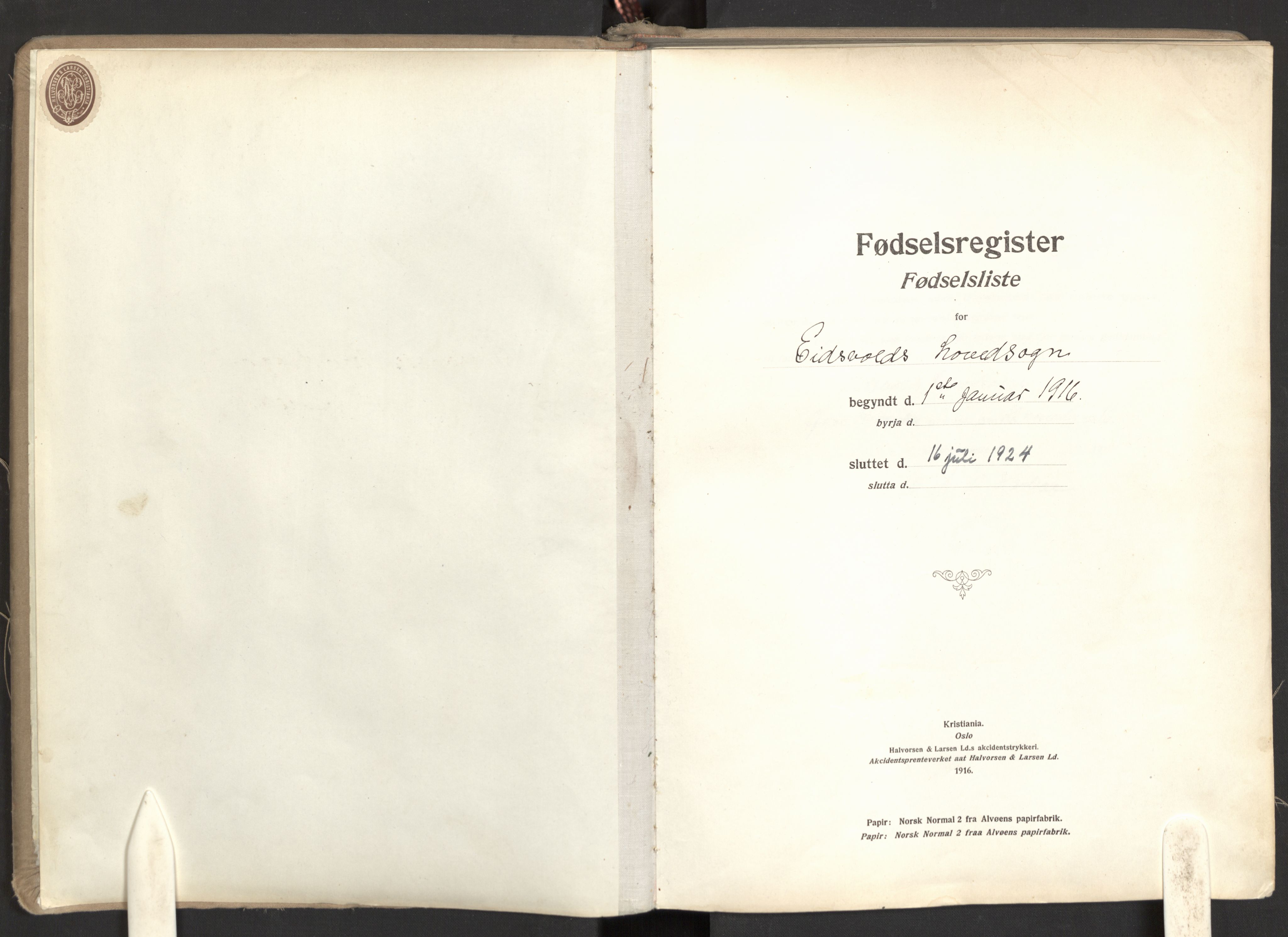 Eidsvoll prestekontor Kirkebøker, AV/SAO-A-10888/J/Ja/L0001: Birth register no. I 1, 1916-1924