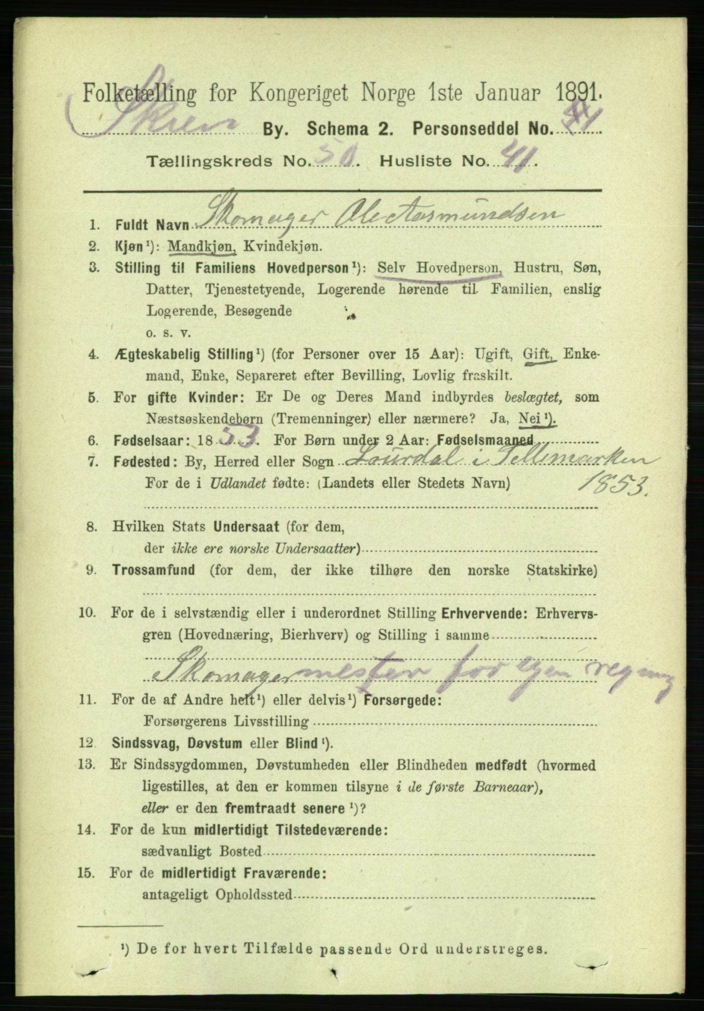 RA, 1891 census for 0806 Skien, 1891, p. 11142