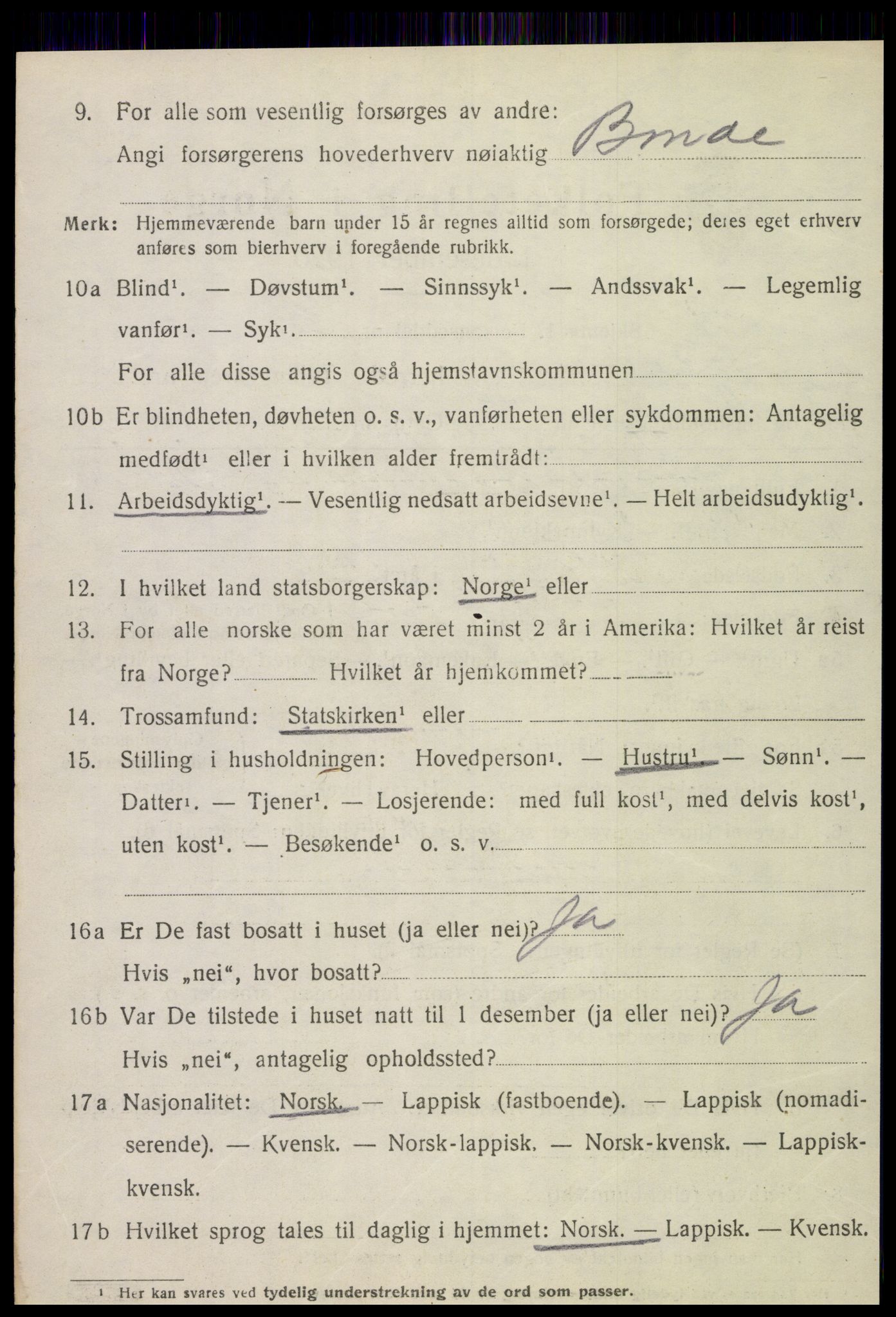 SAT, 1920 census for Stjørdal, 1920, p. 1297