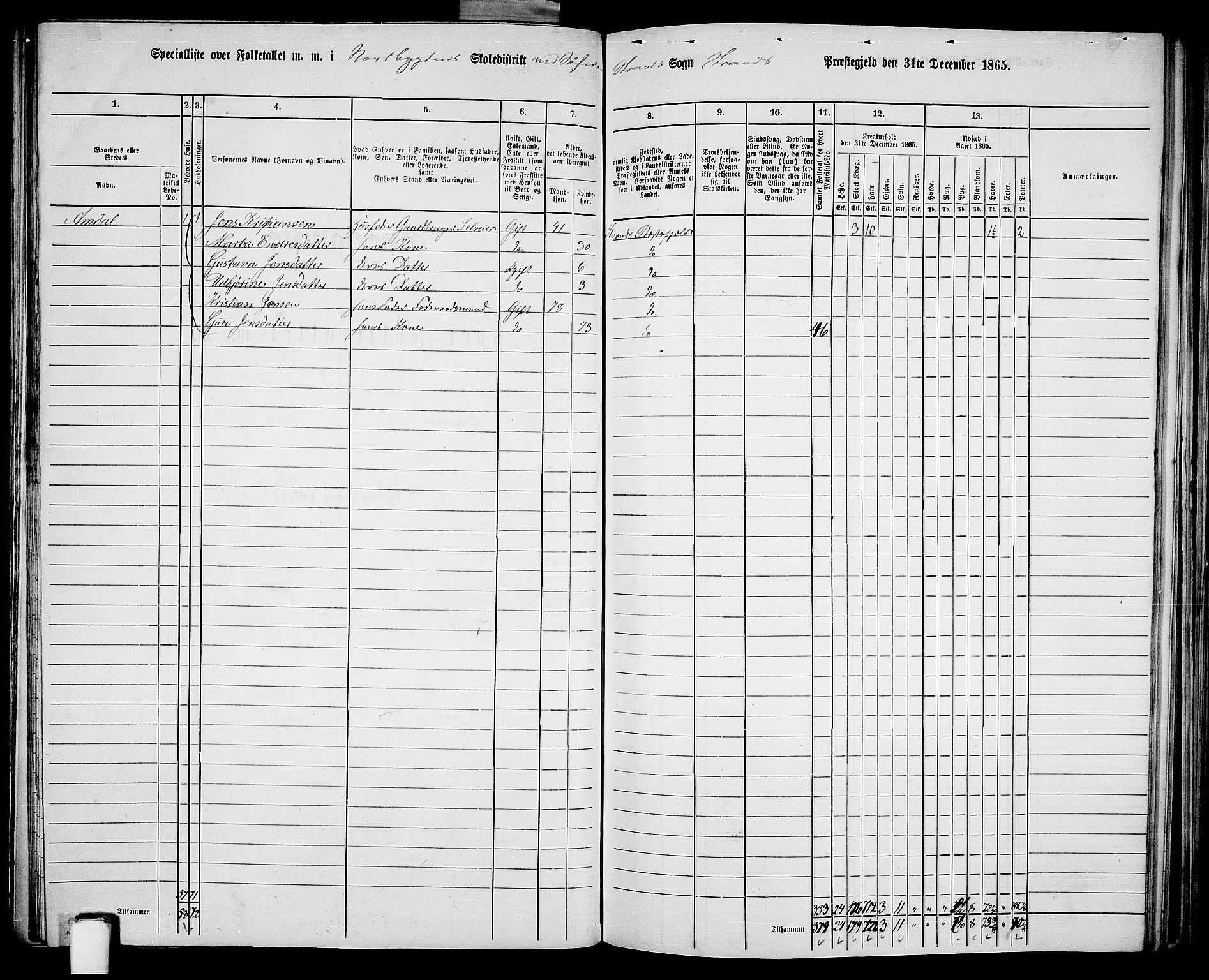 RA, 1865 census for Strand, 1865, p. 20