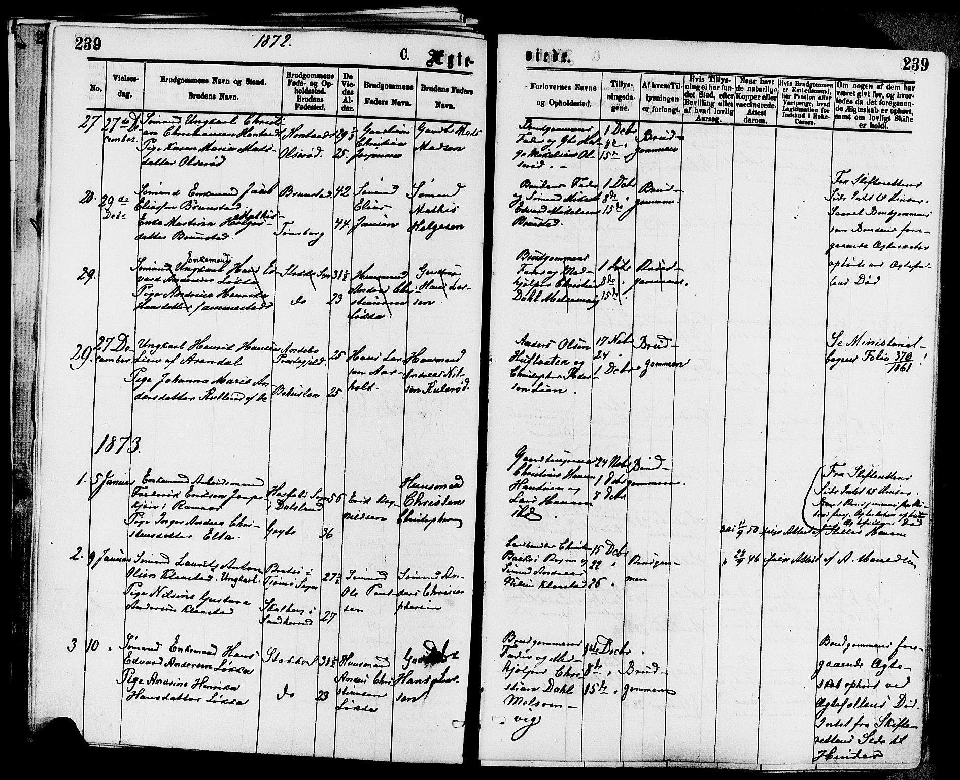 Stokke kirkebøker, SAKO/A-320/F/Fa/L0009: Parish register (official) no. I 9, 1872-1883, p. 239