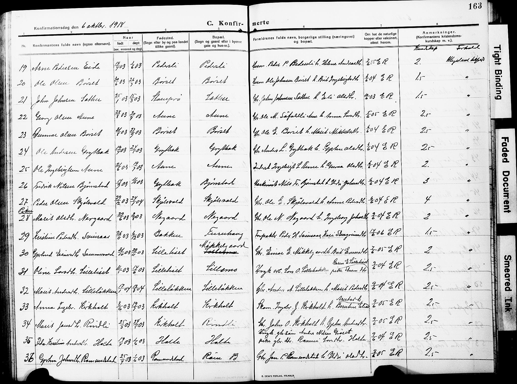 Ministerialprotokoller, klokkerbøker og fødselsregistre - Møre og Romsdal, AV/SAT-A-1454/598/L1079: Parish register (copy) no. 598C04, 1909-1927, p. 163